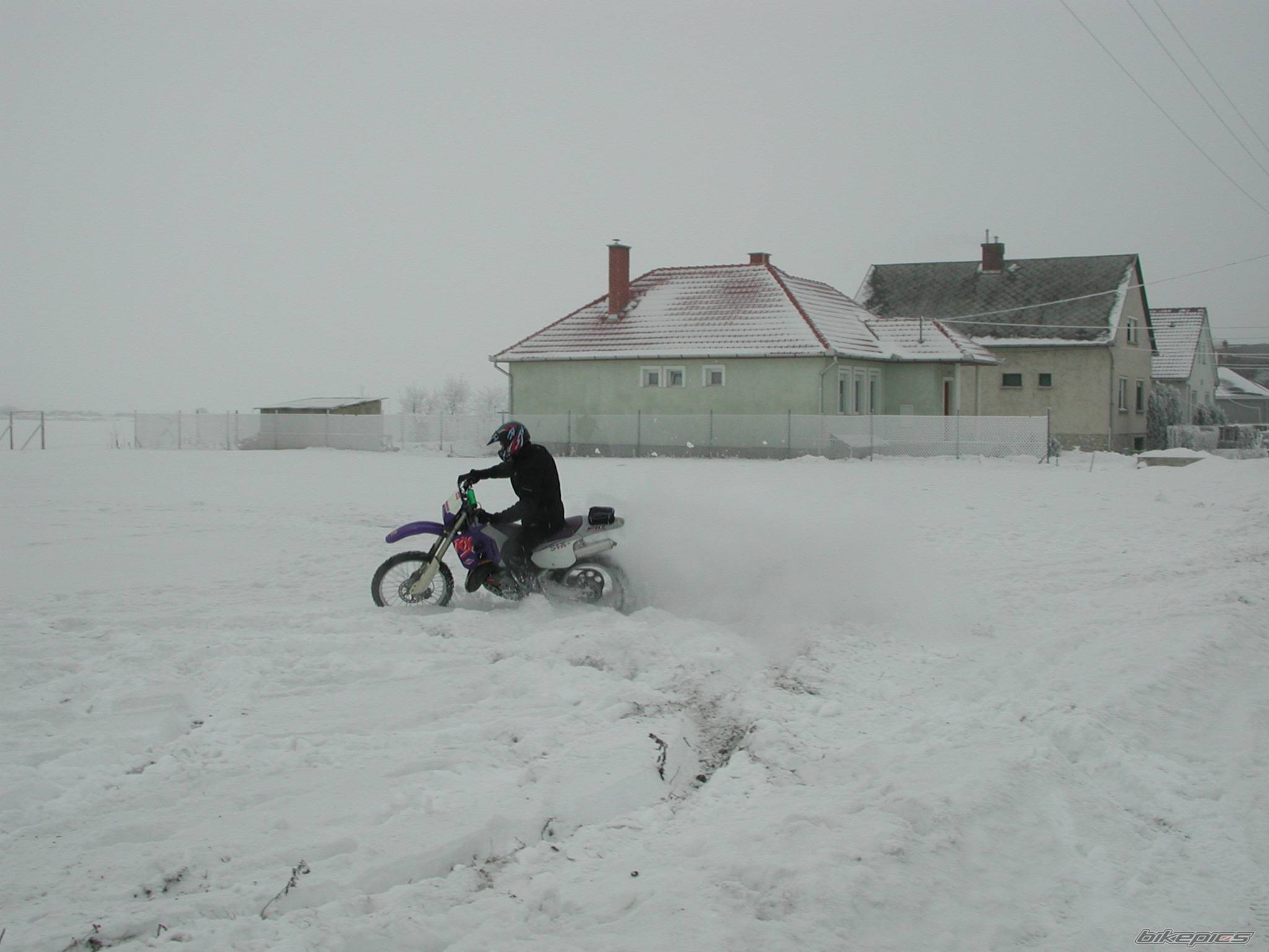 Photo 267842