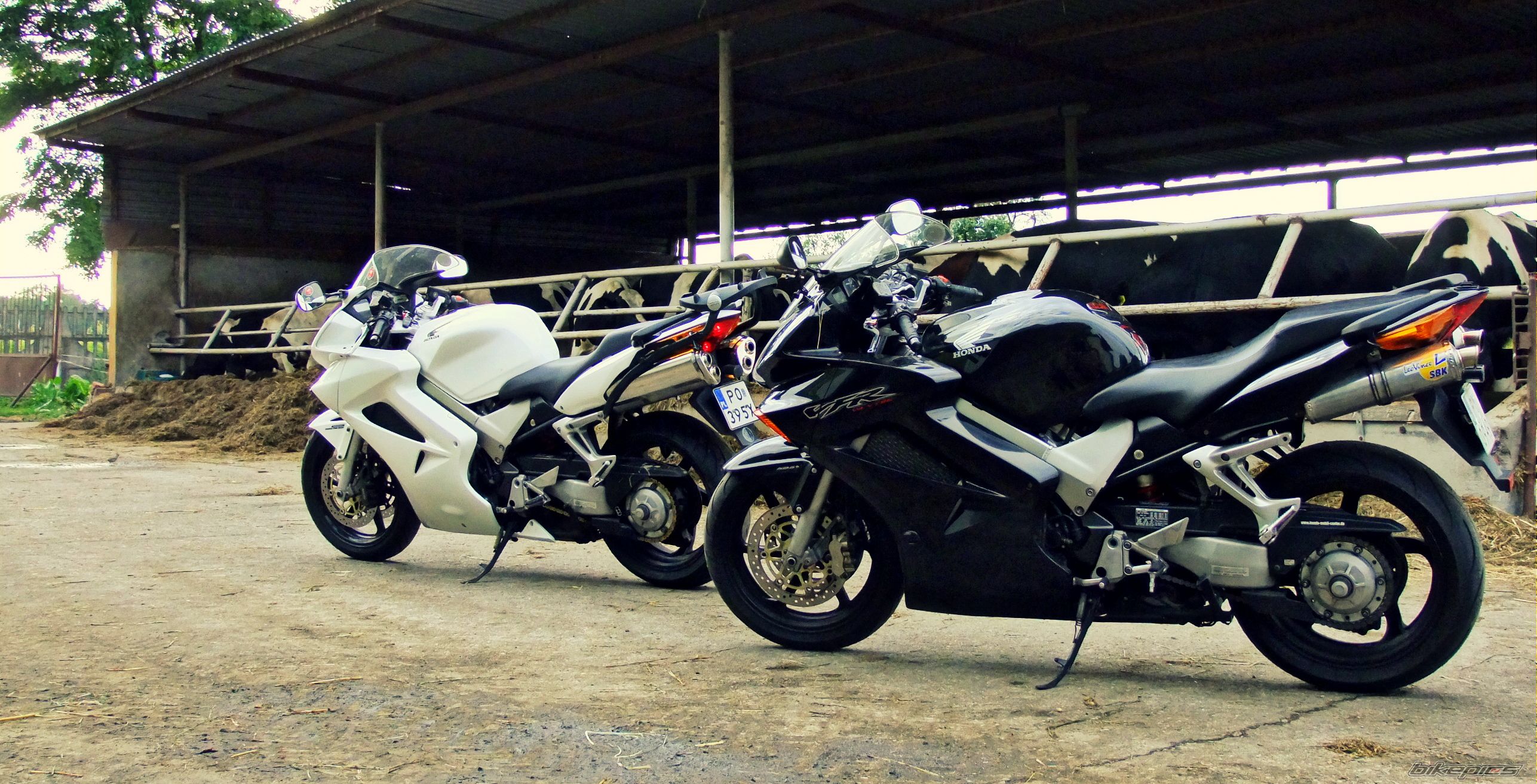 Bike Photo 2678425