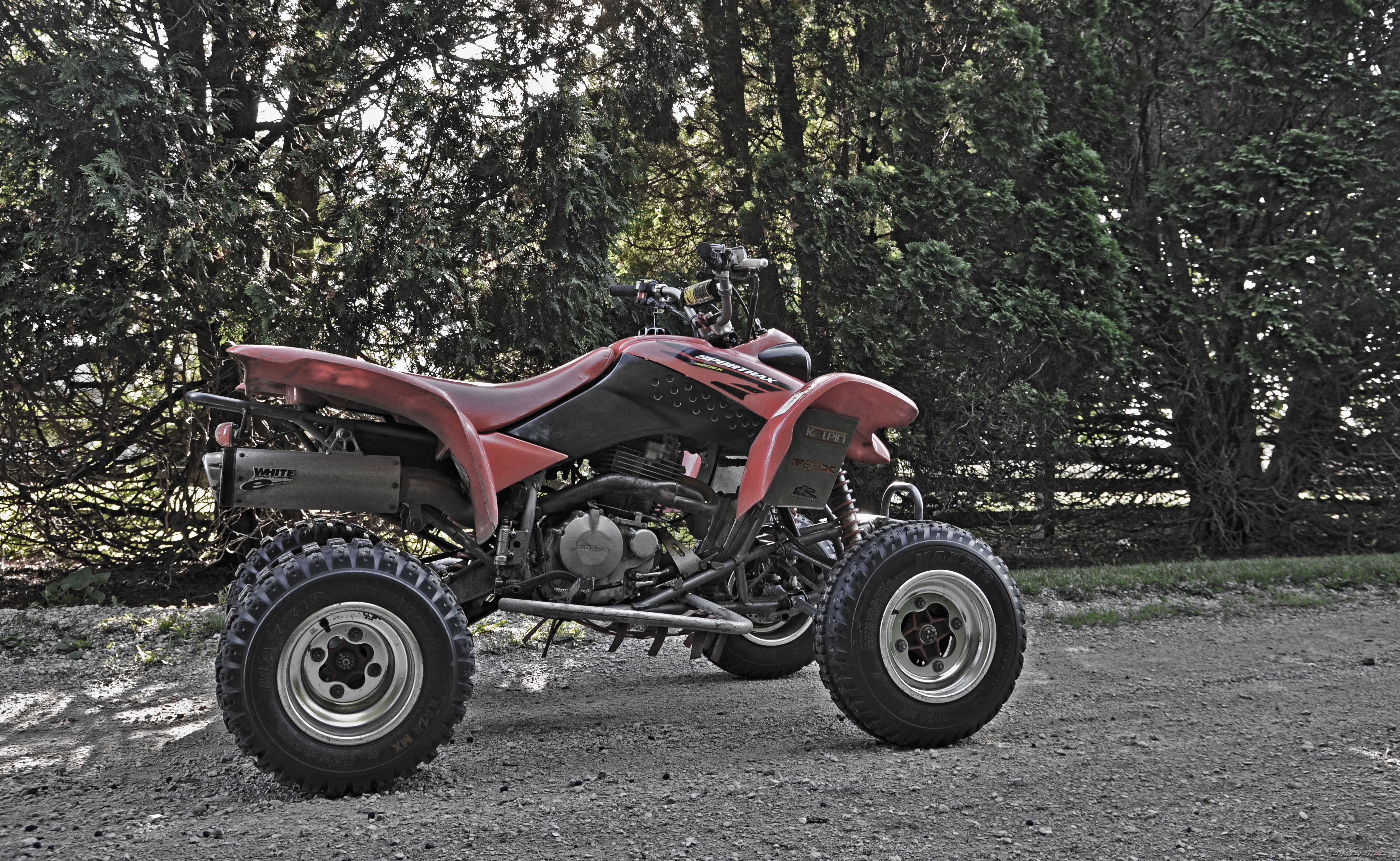 Photo 2678454