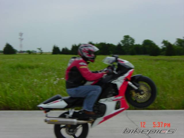 Photo 26785