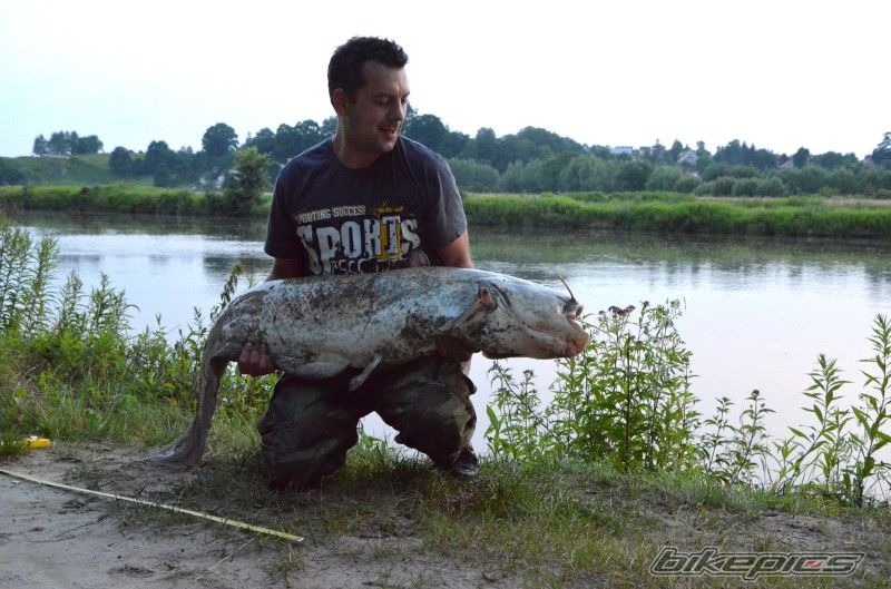 Photo 2678564
