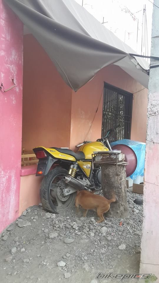 Photo 2678746