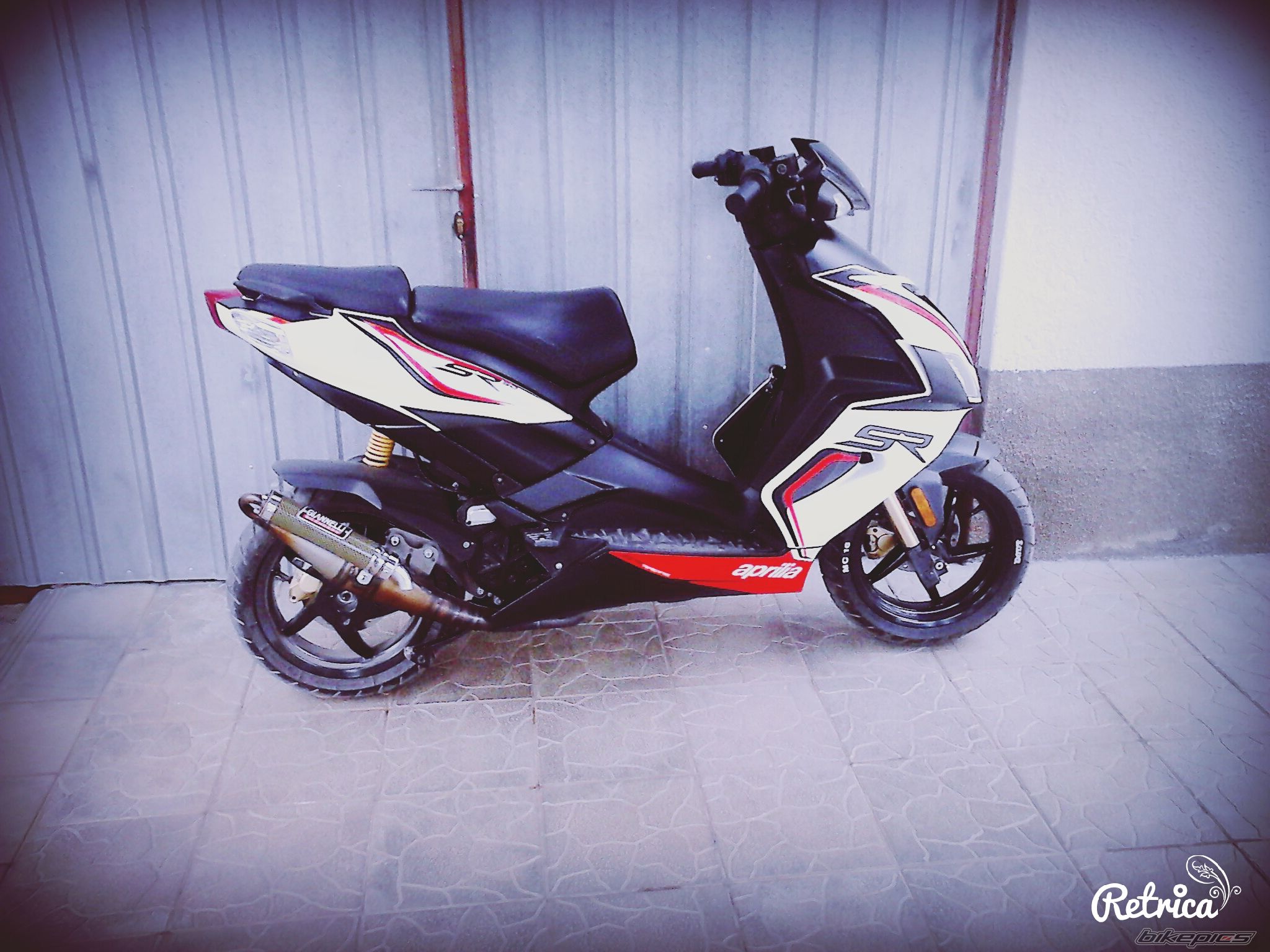Photo 2678783