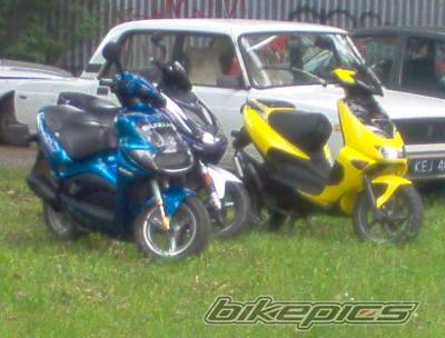 Photo 267880