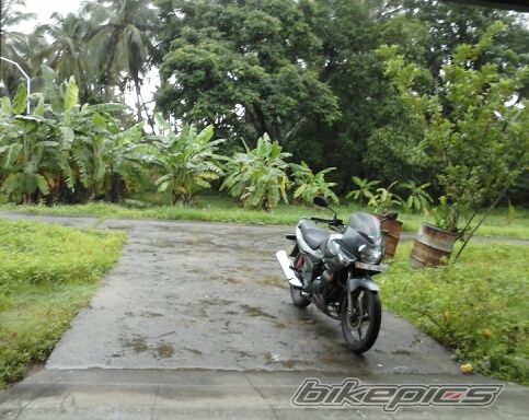 Photo 2678819