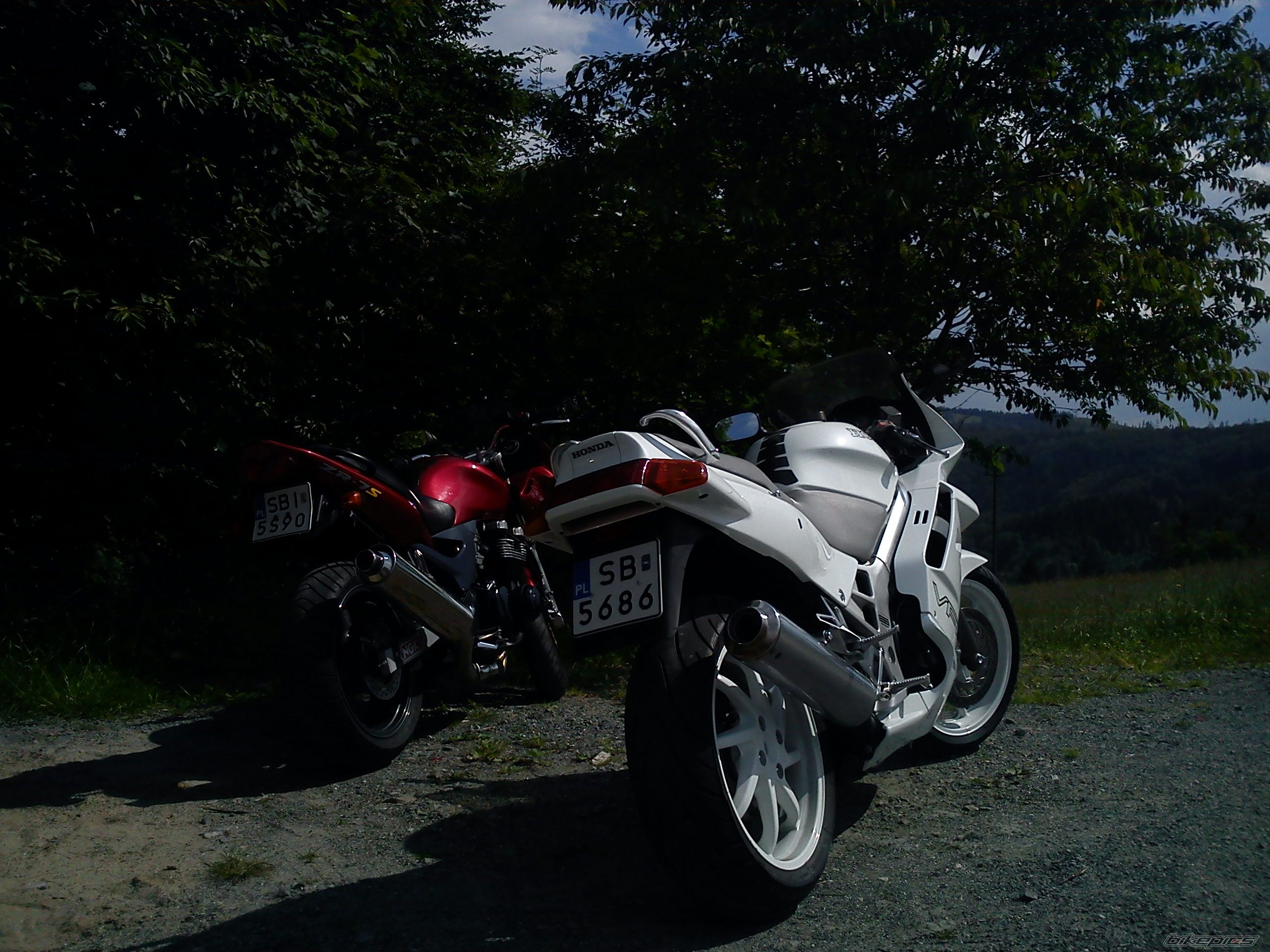 Photo 2679045