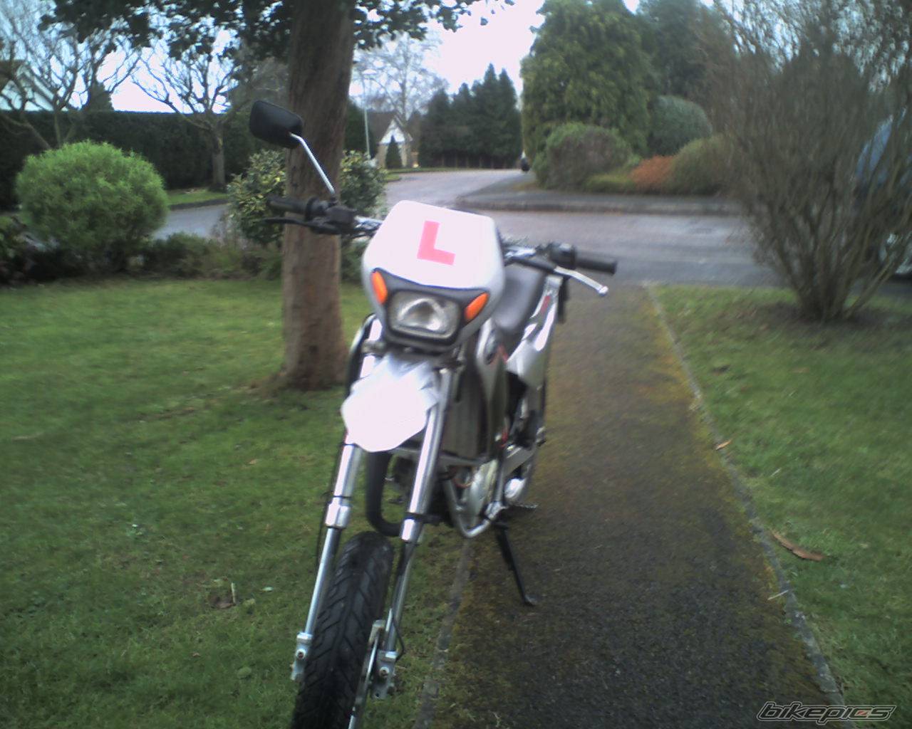 Photo 267908
