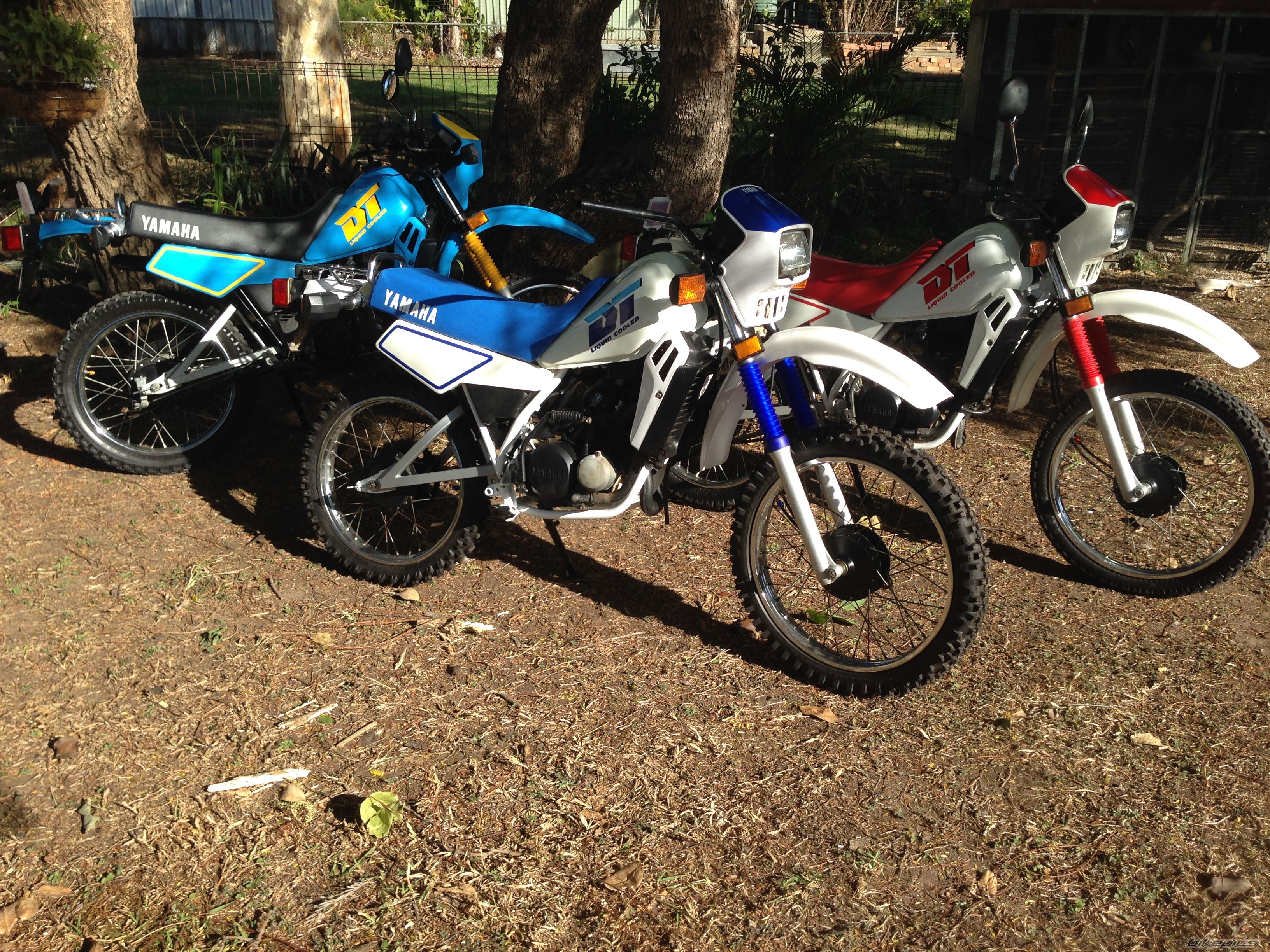 Photo 2679155