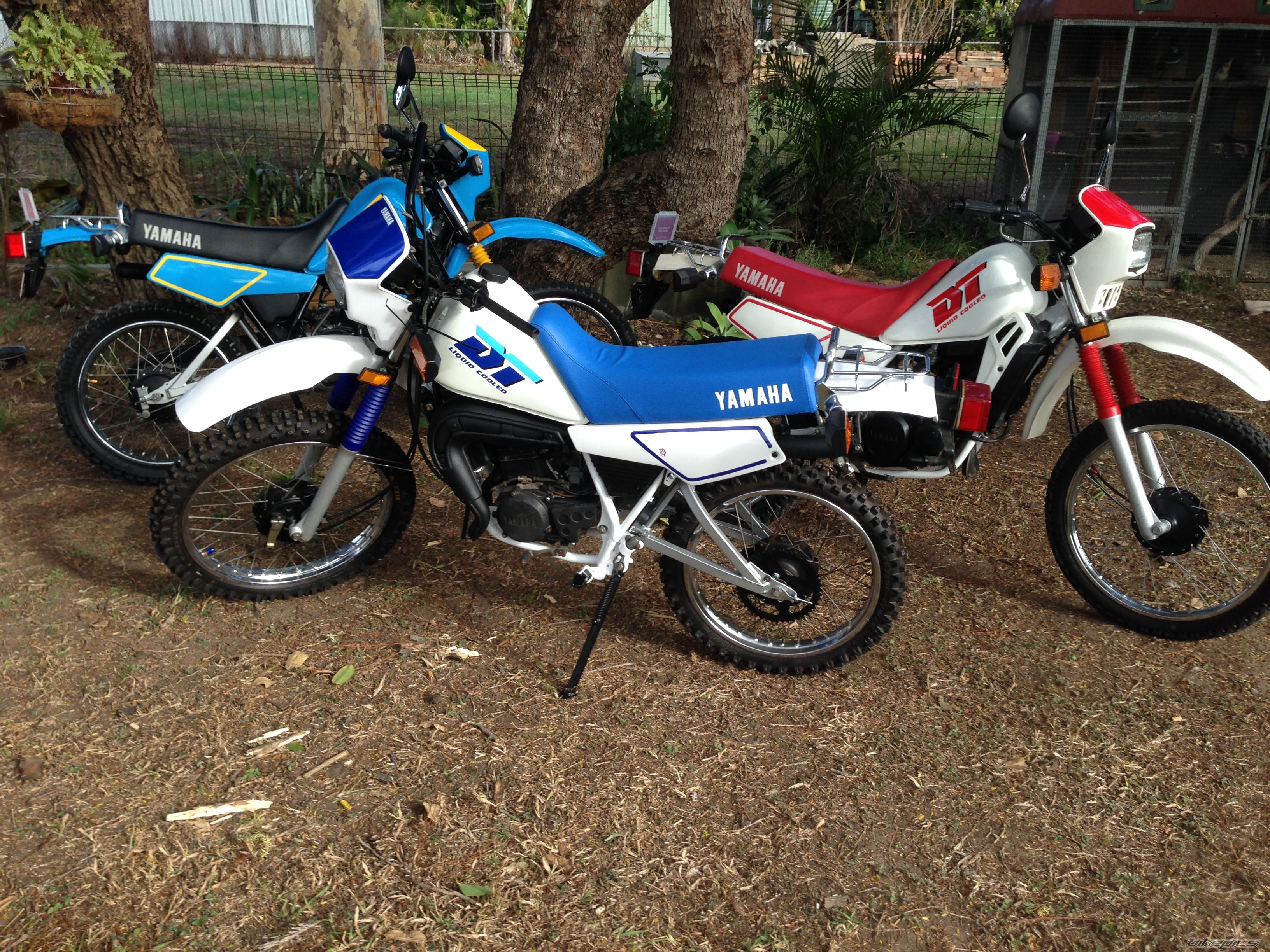 Photo 2679156
