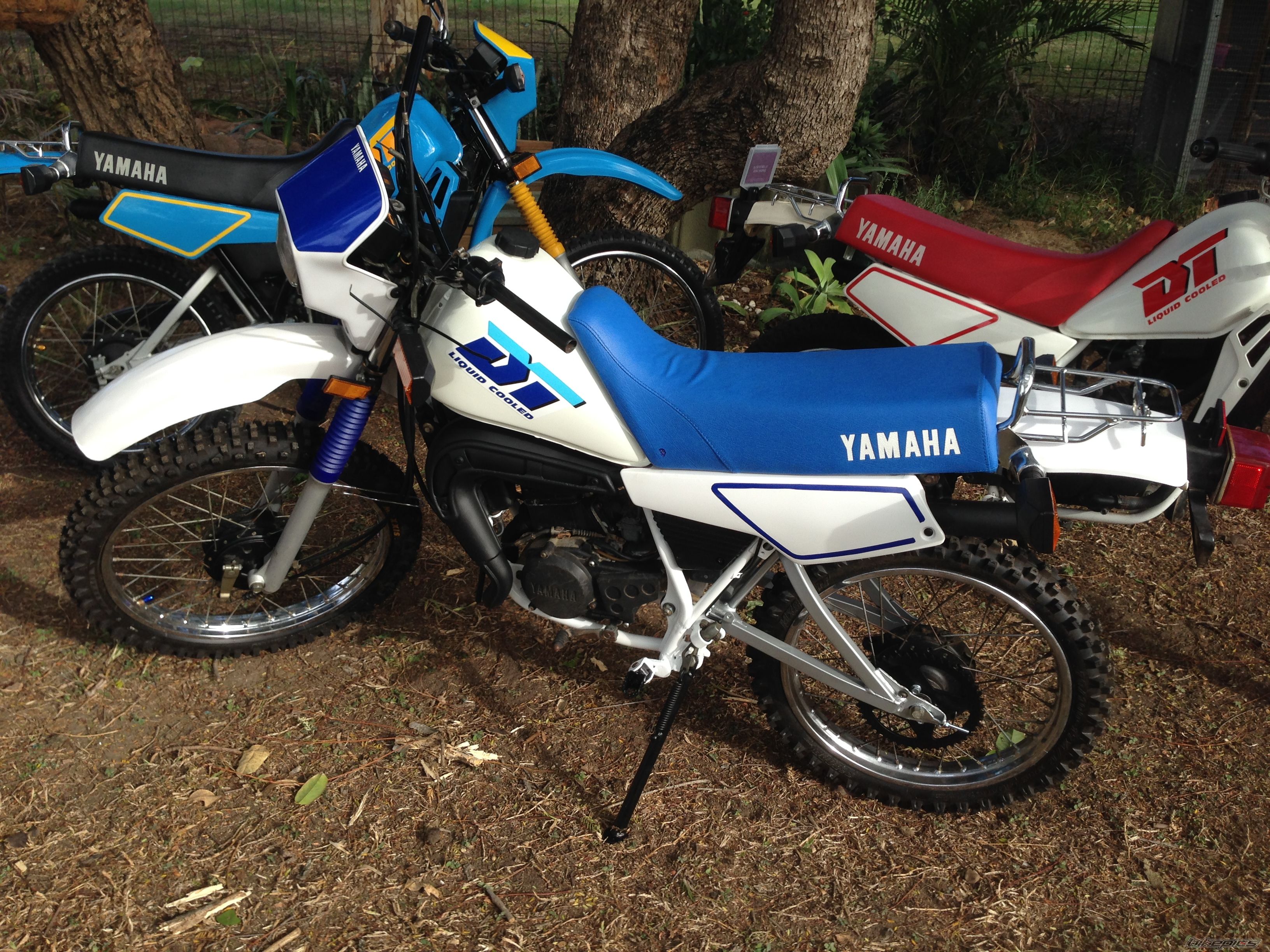 Photo 2679157