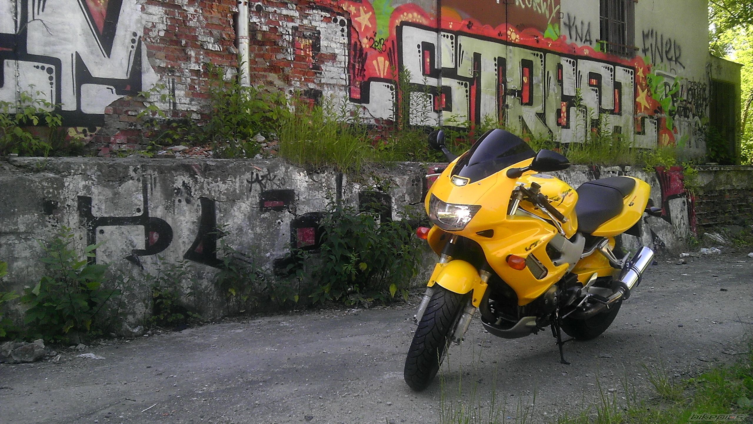 Photo 2679253