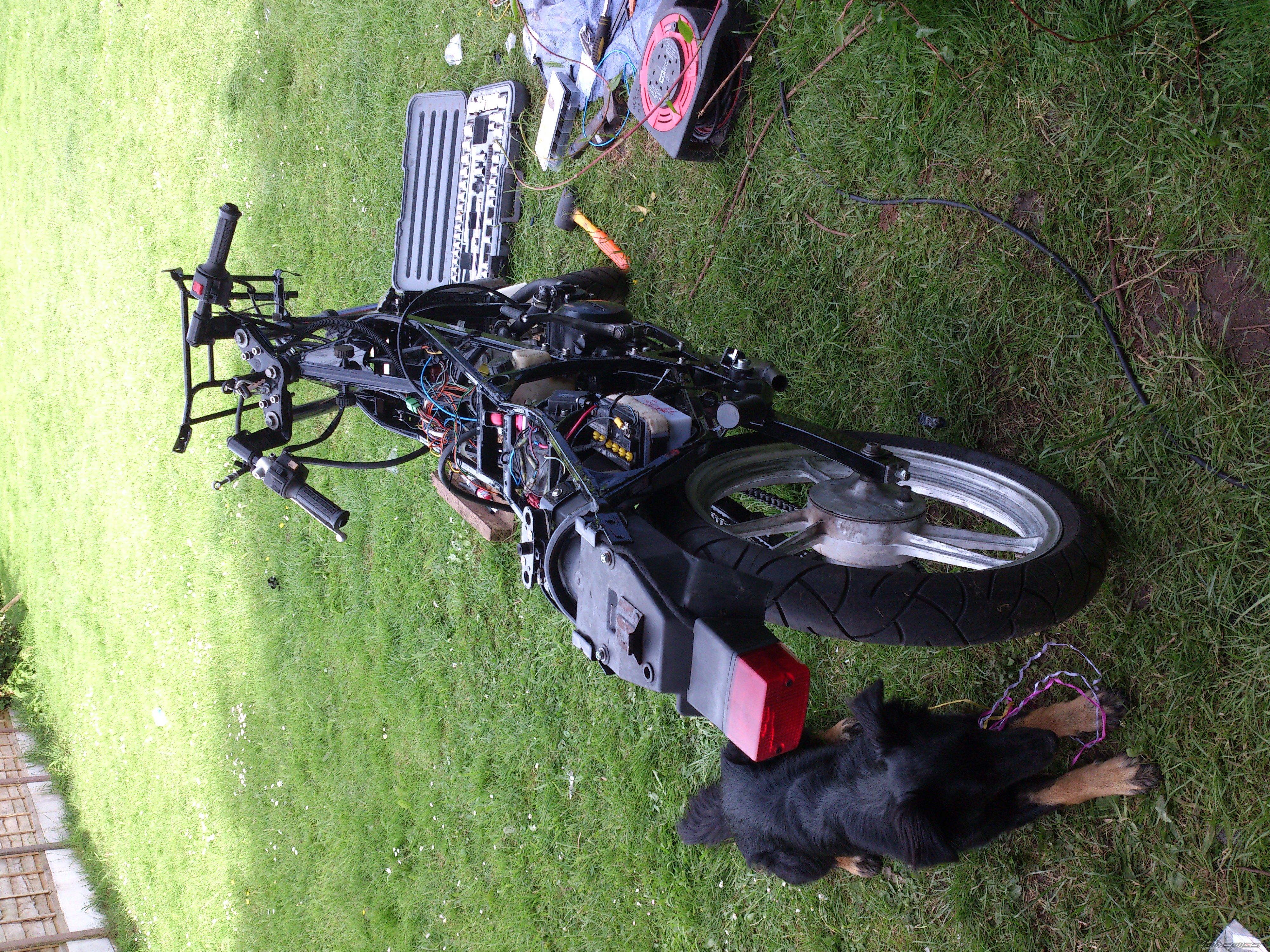 Photo 2679292