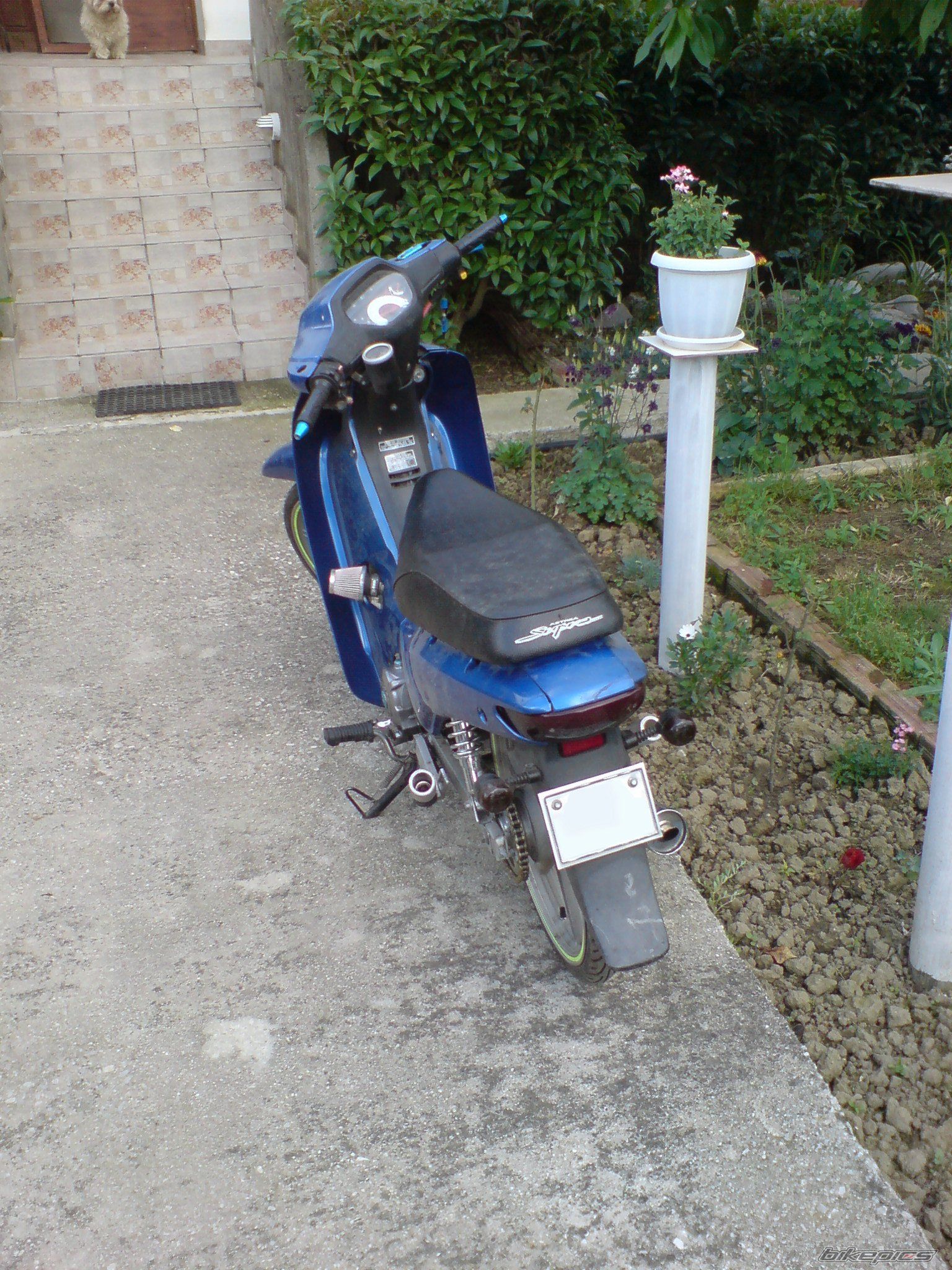 Photo 2679365