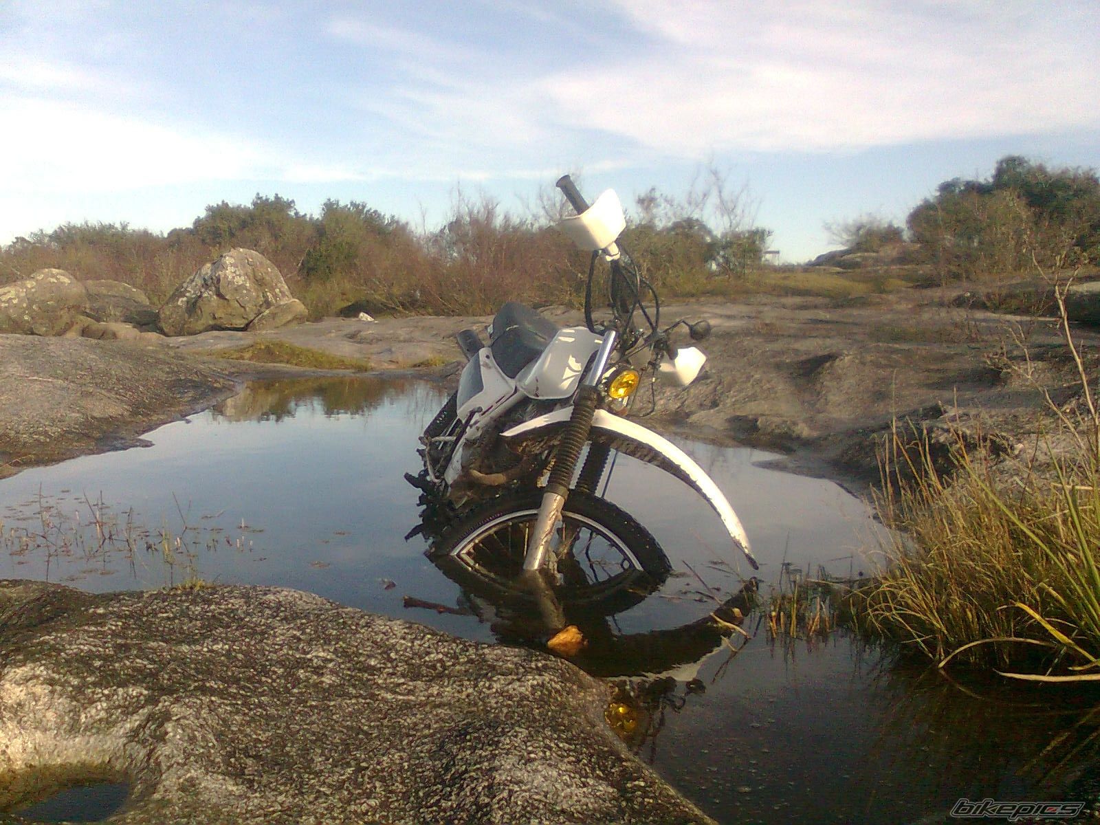Photo 2679394