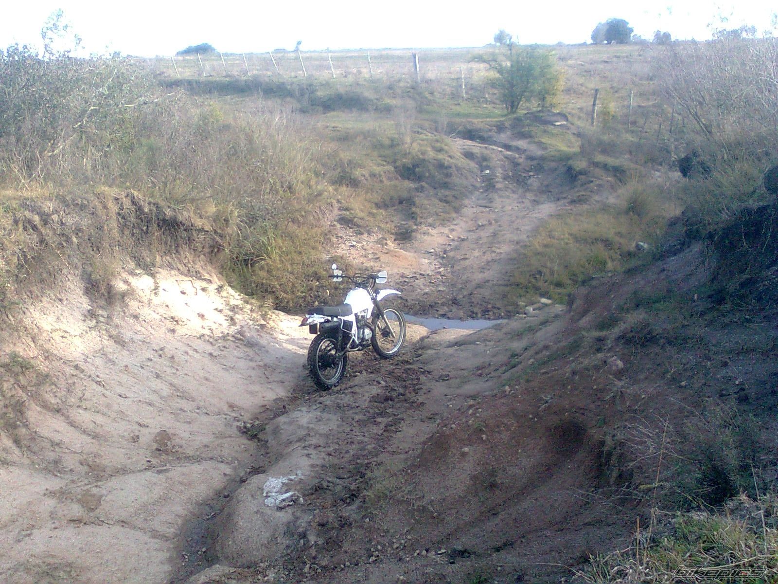 Photo 2679397