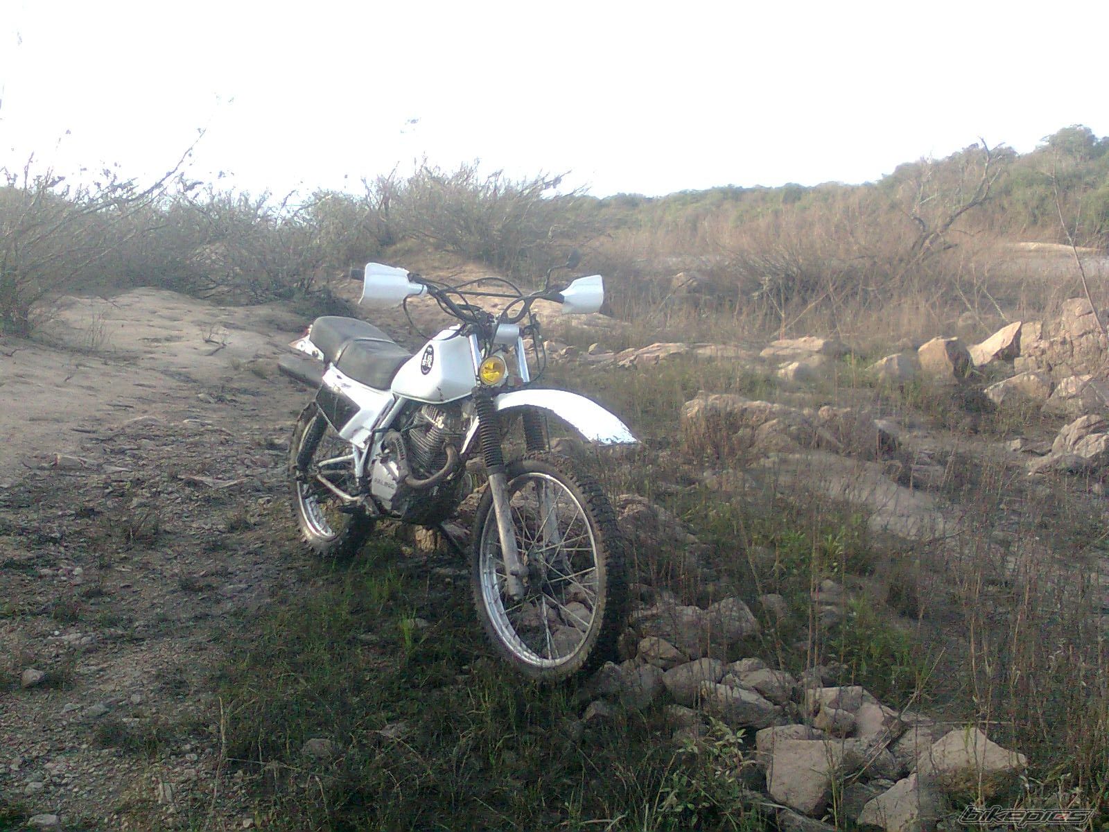 Photo 2679398