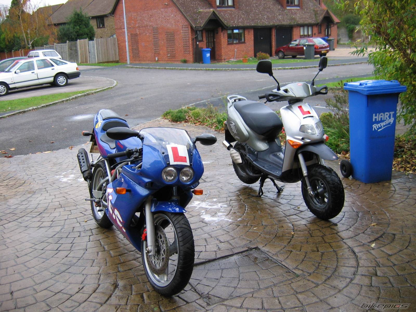 Photo 267945