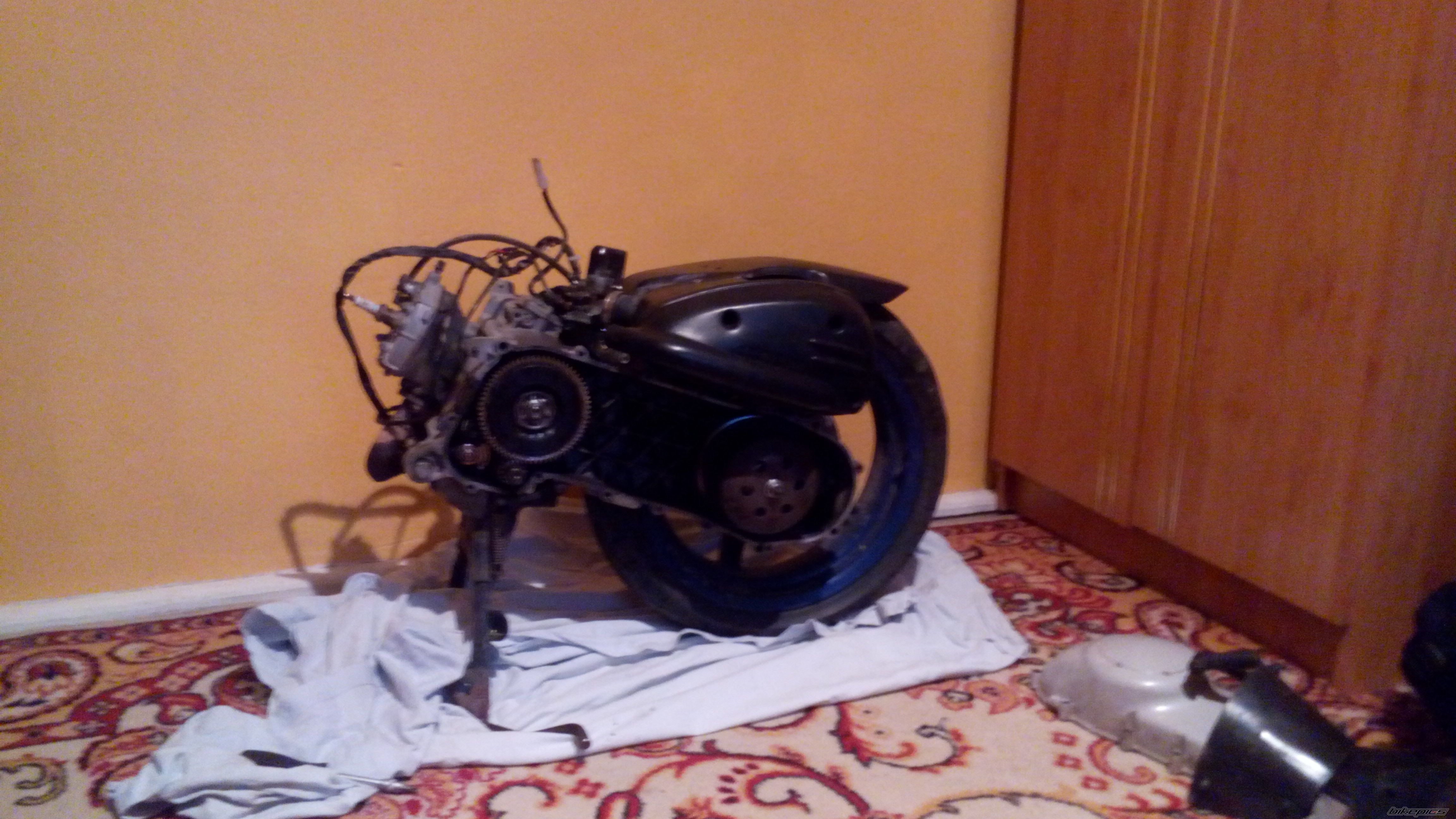 Photo 2679466