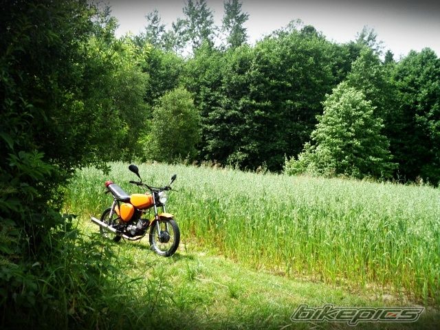Photo 2679476