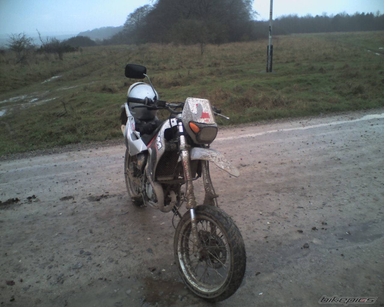 Photo 267979