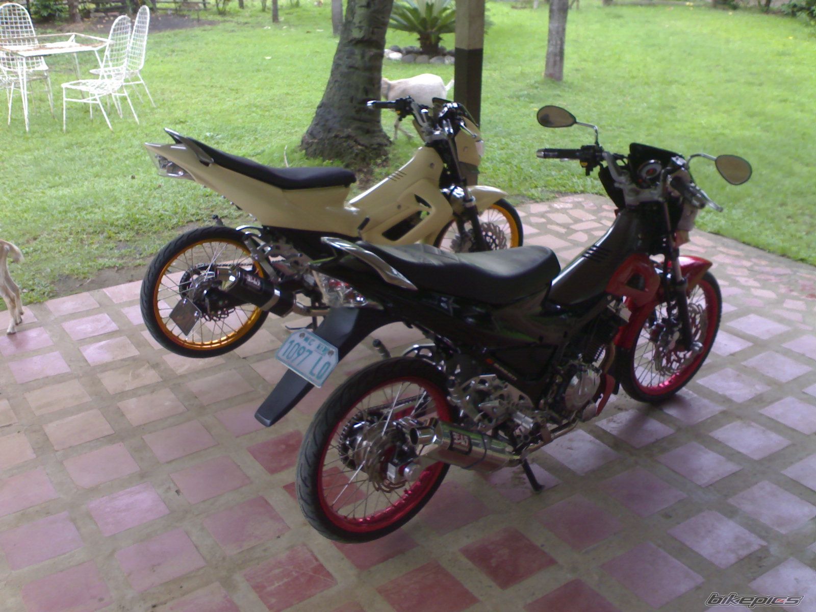Photo 2679955