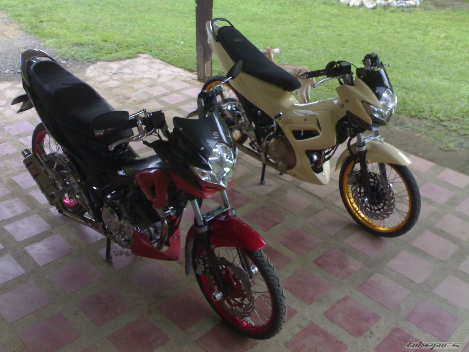 Photo 2679956