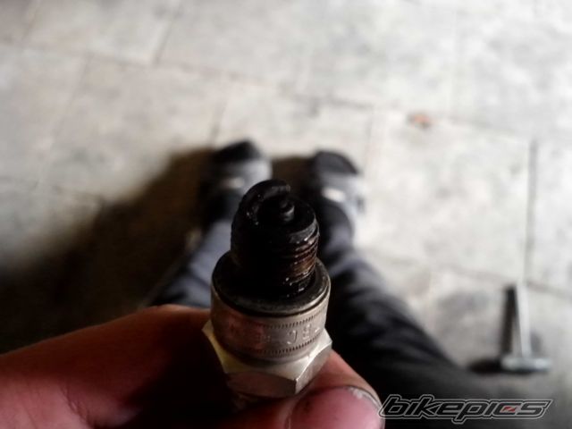 Photo 2680057