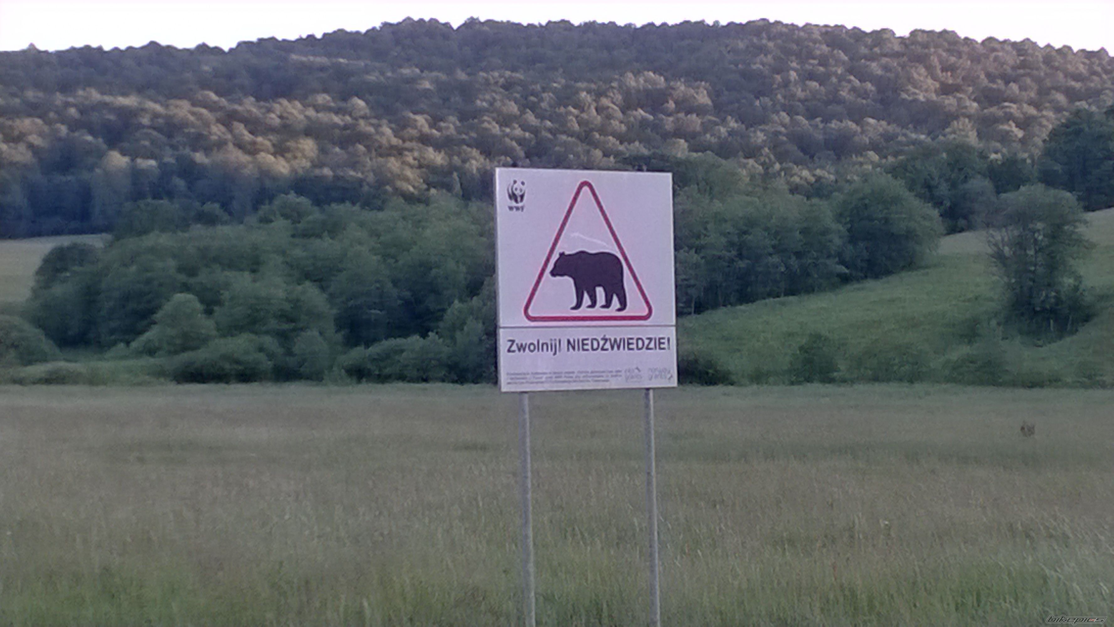 Photo 2680065
