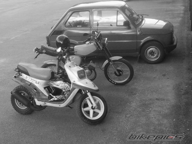 Photo 2680078