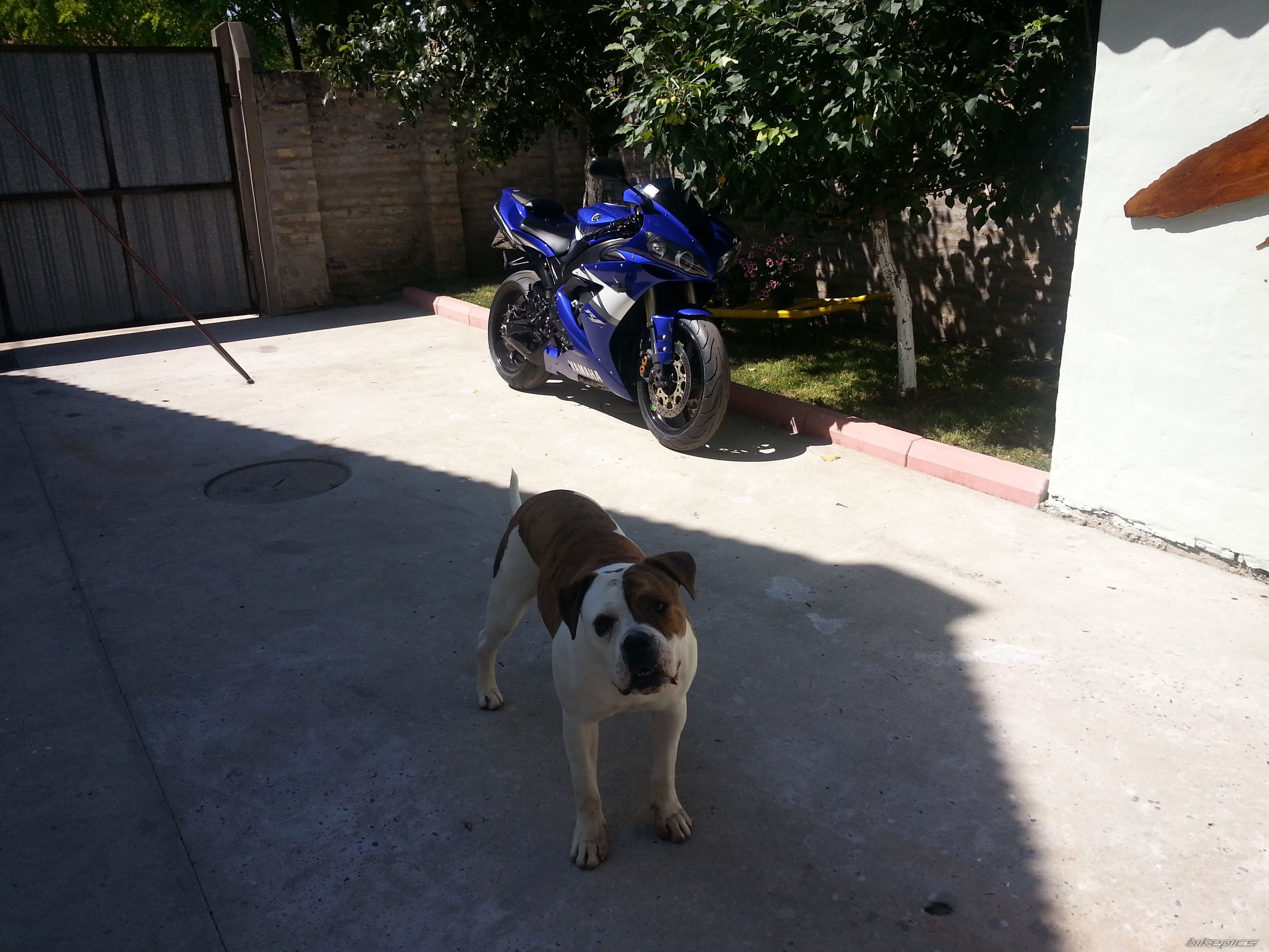 Photo 2680113