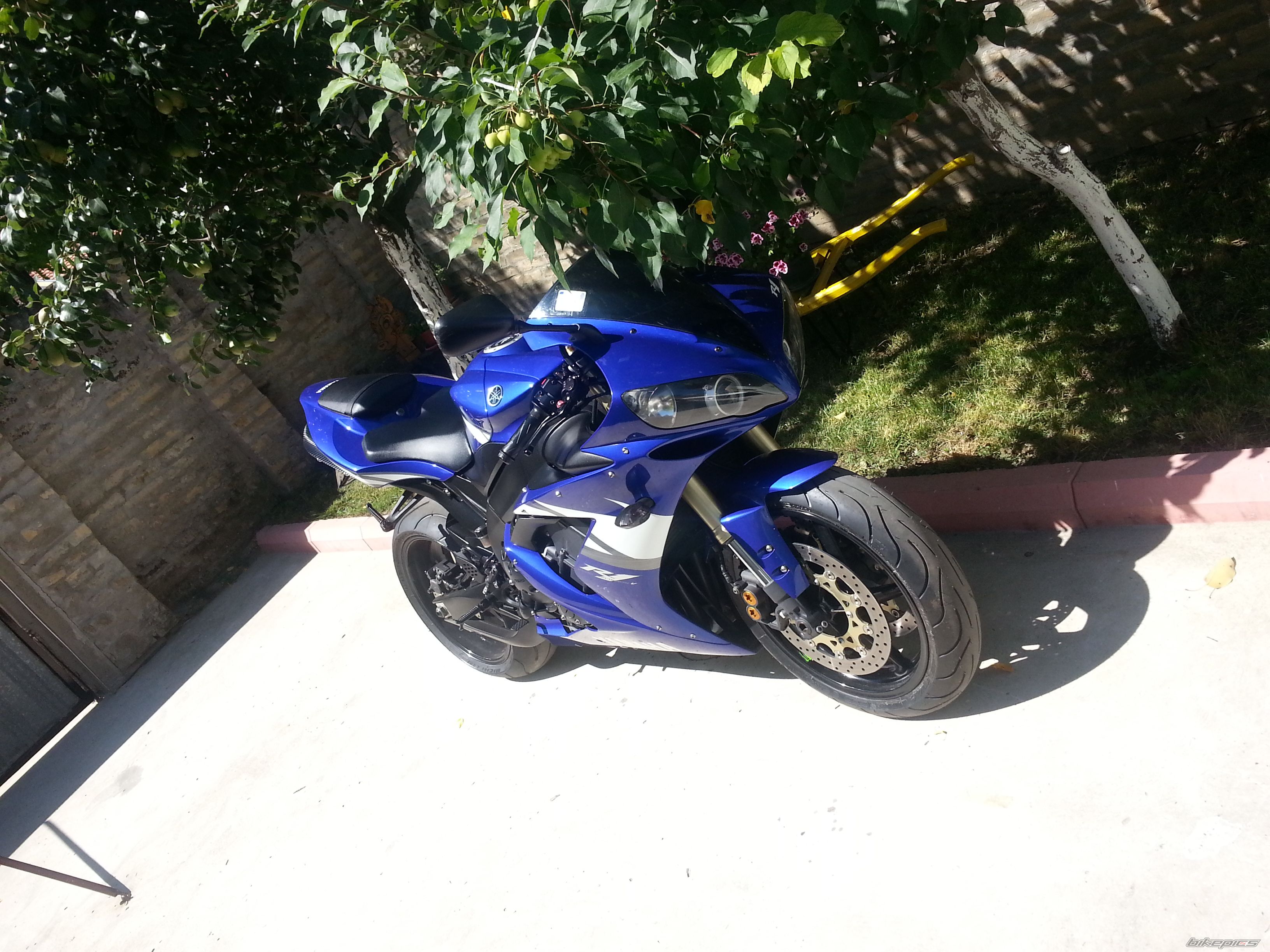 Photo 2680116