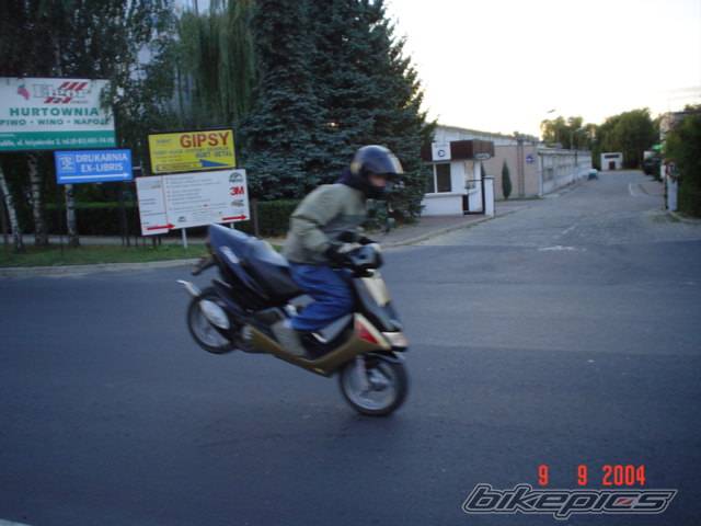 Photo 268021