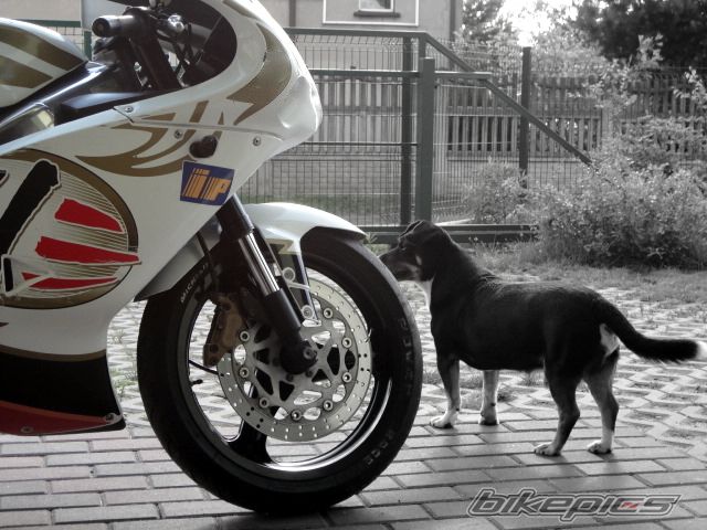 Photo 2680296