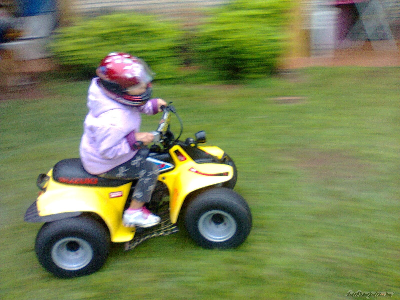 Photo 2680322