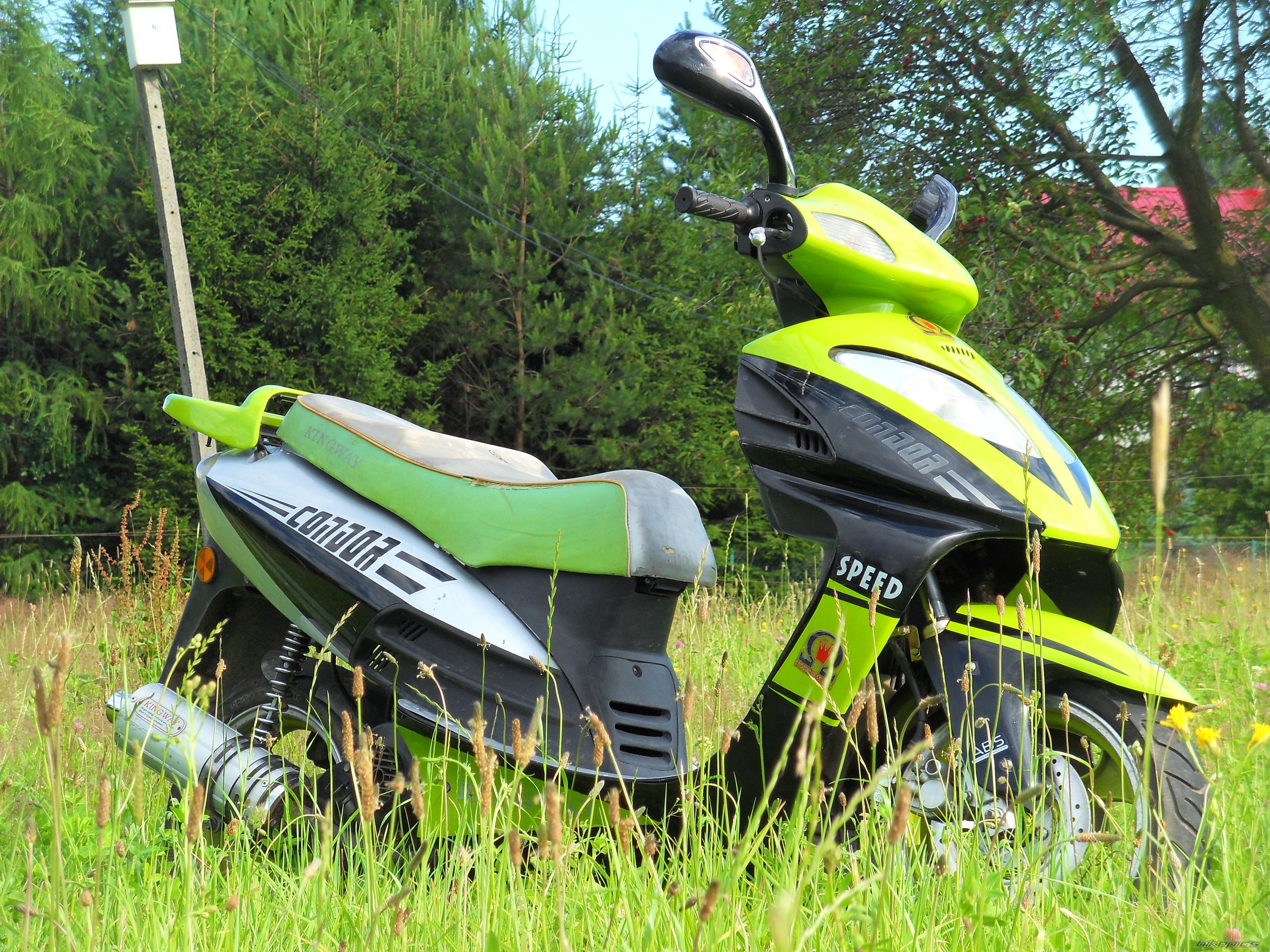 Photo 2680323