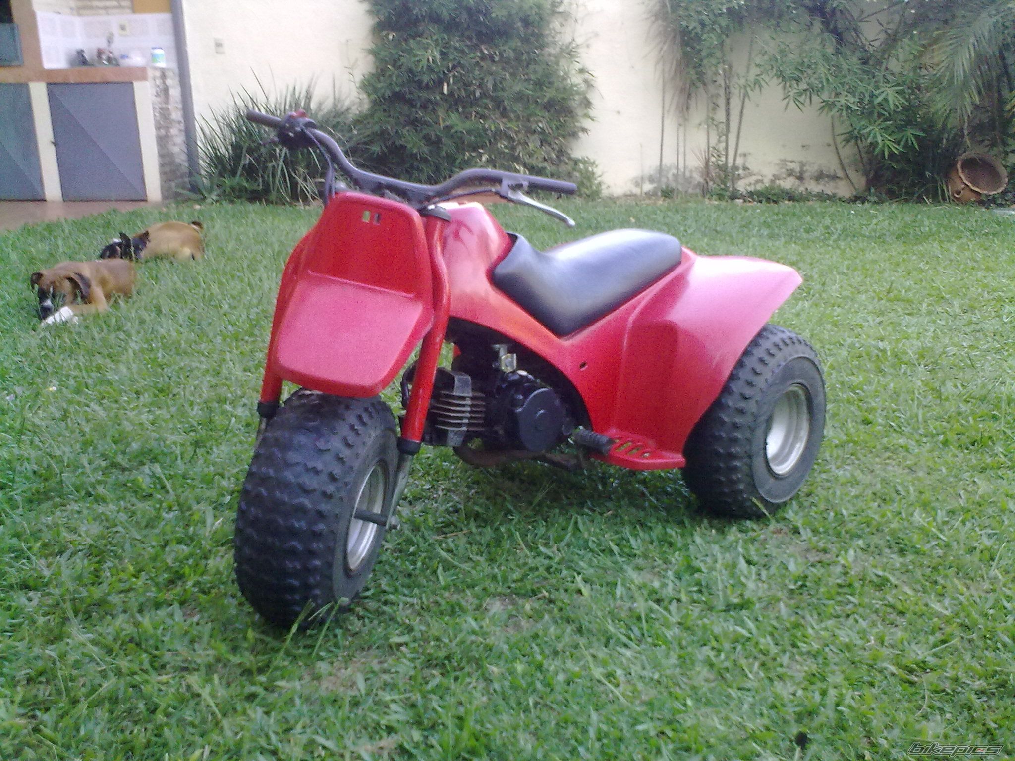 Photo 2680327