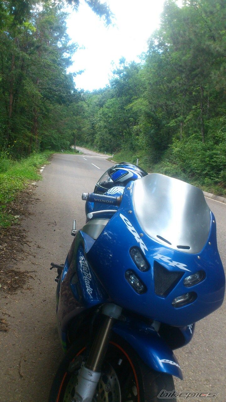 Photo 2680389