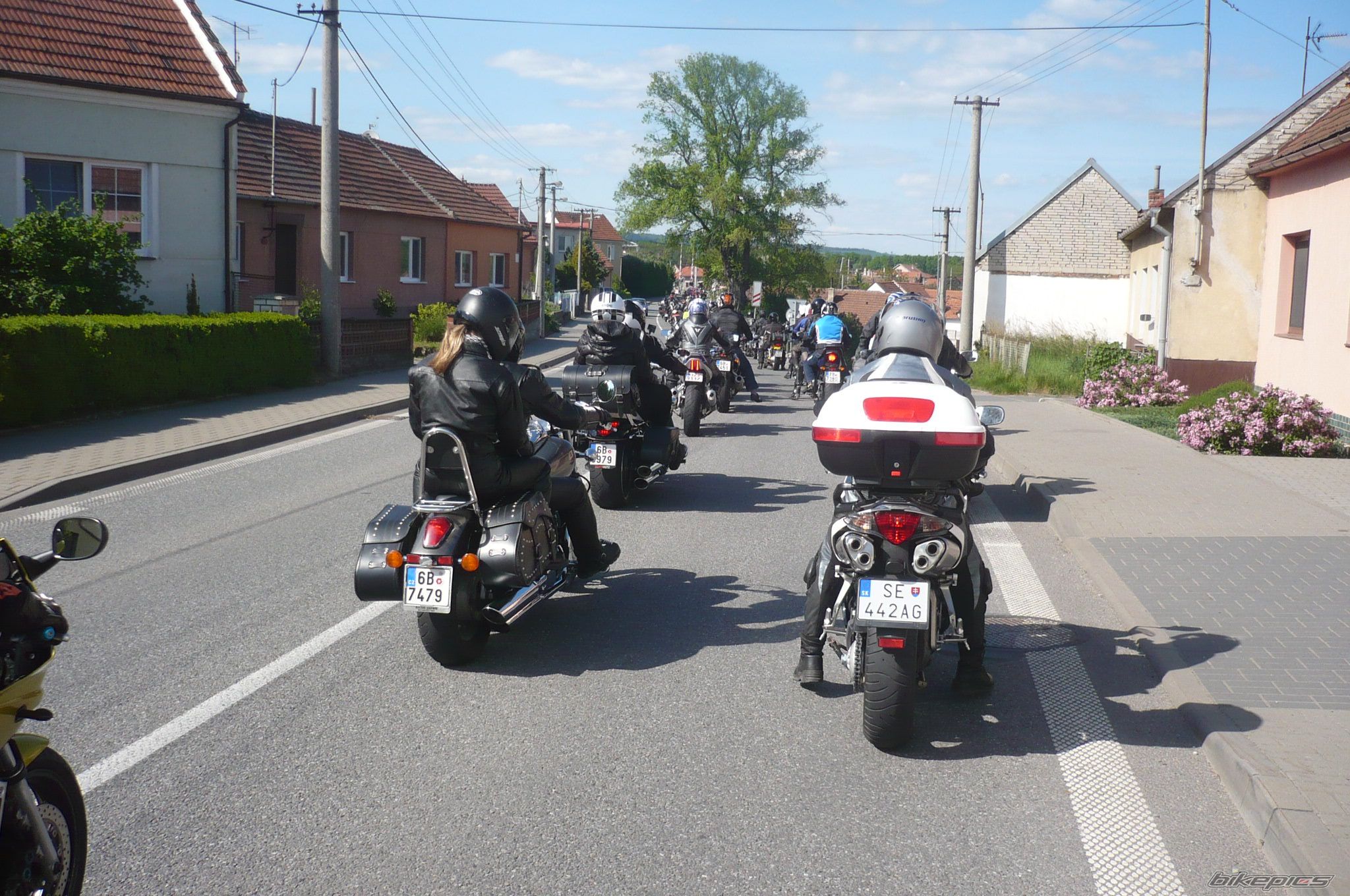 Photo 2680515