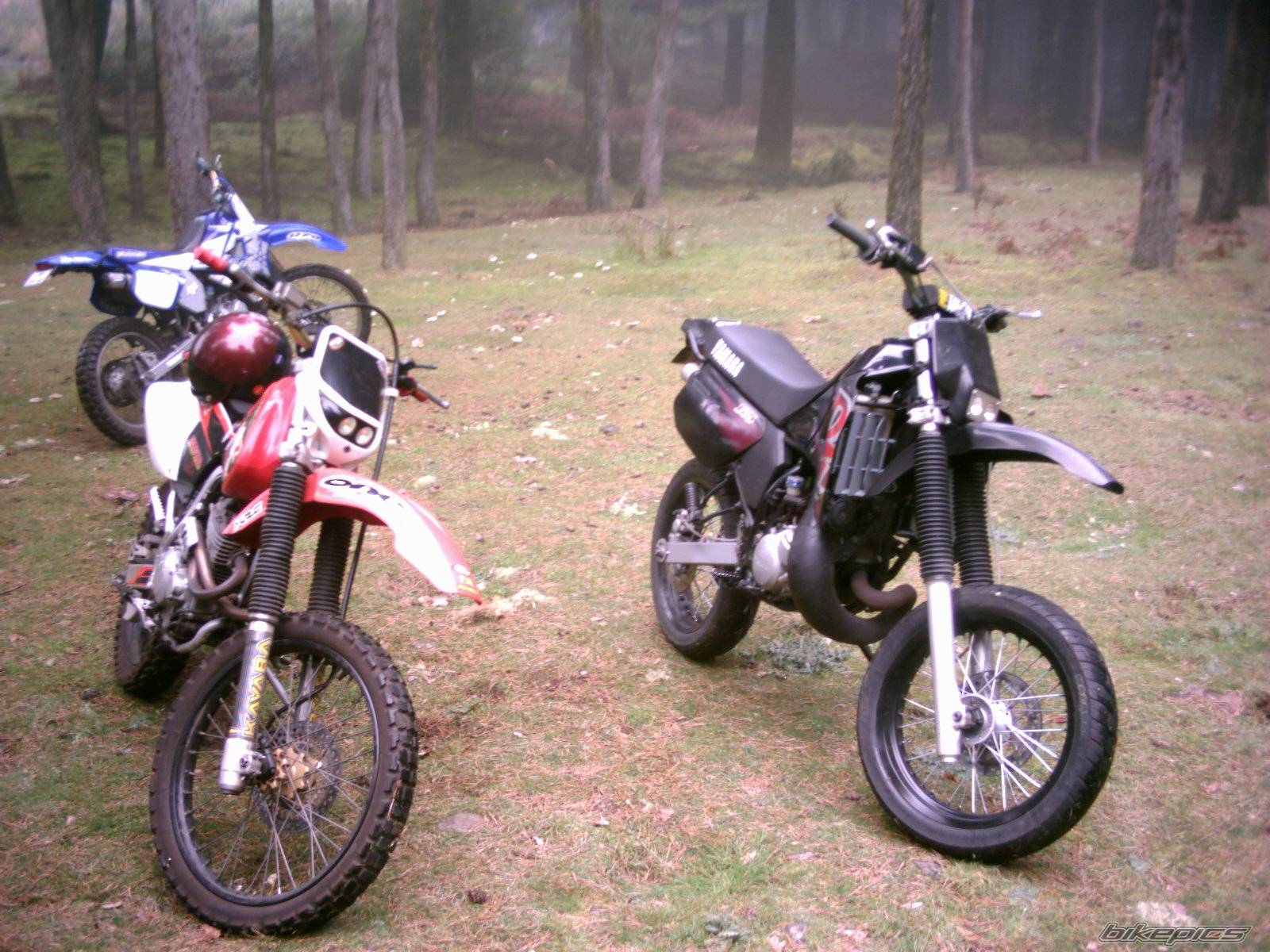 Photo 268093