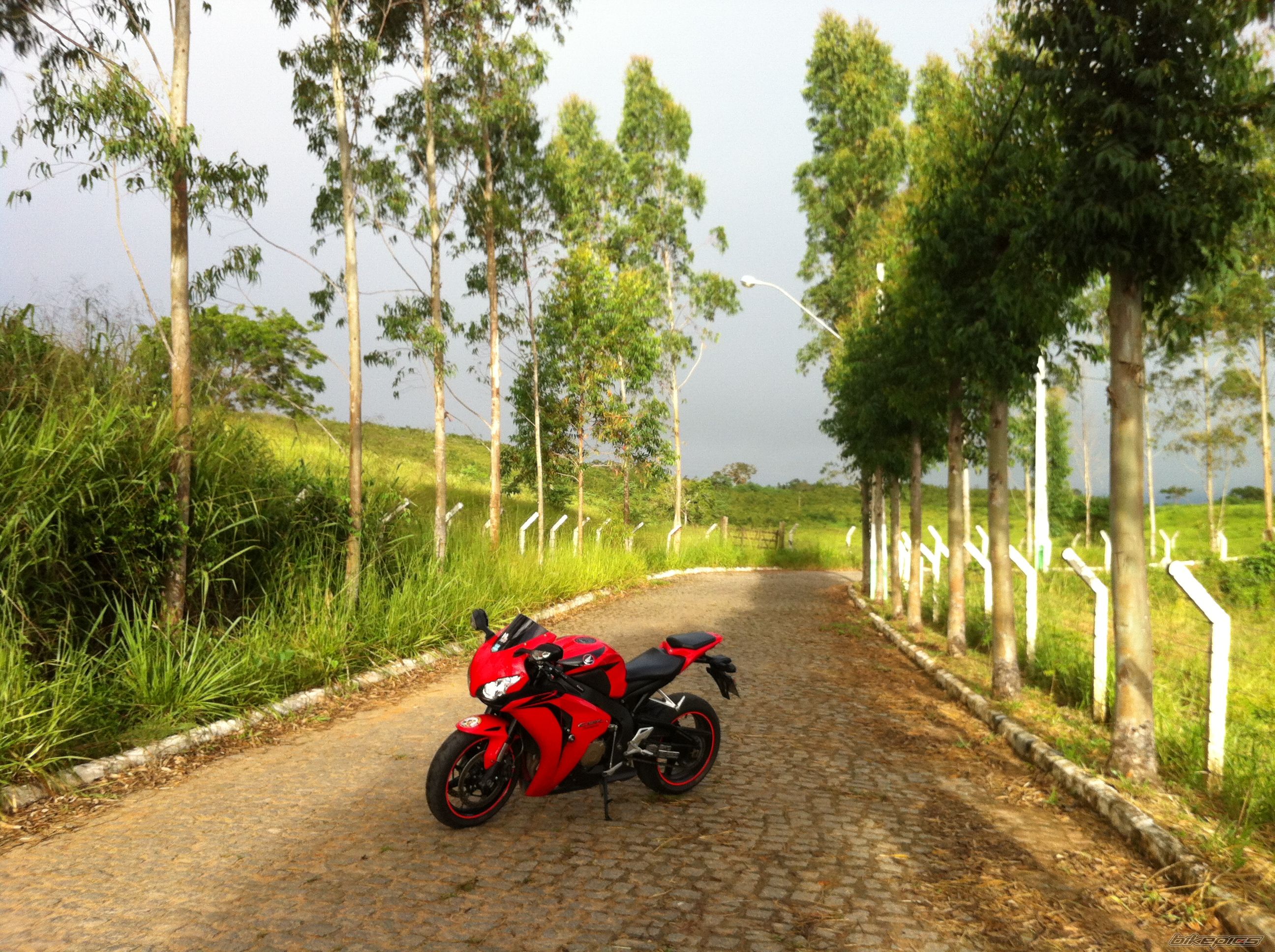 Photo 2680943
