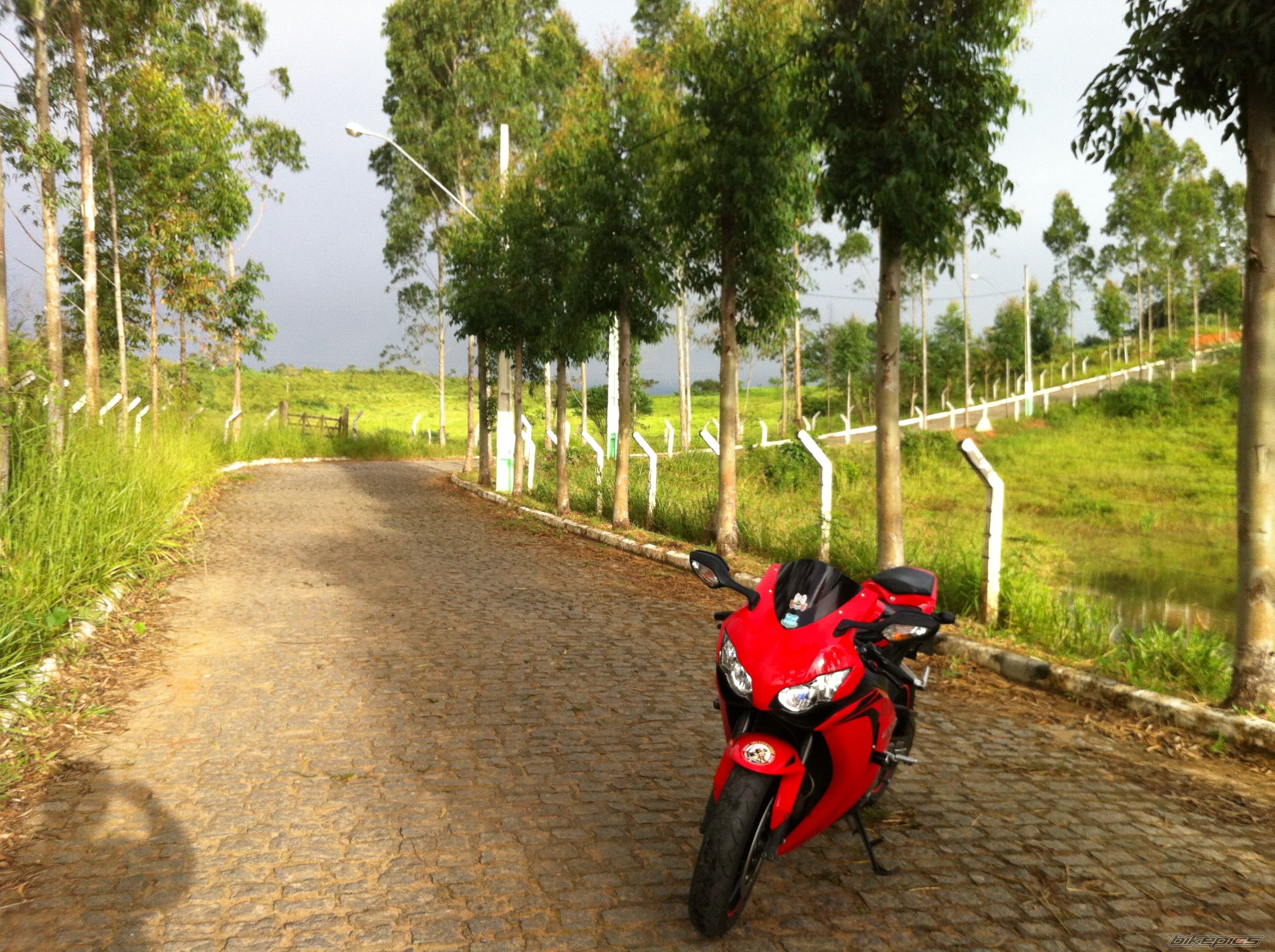 Photo 2680944