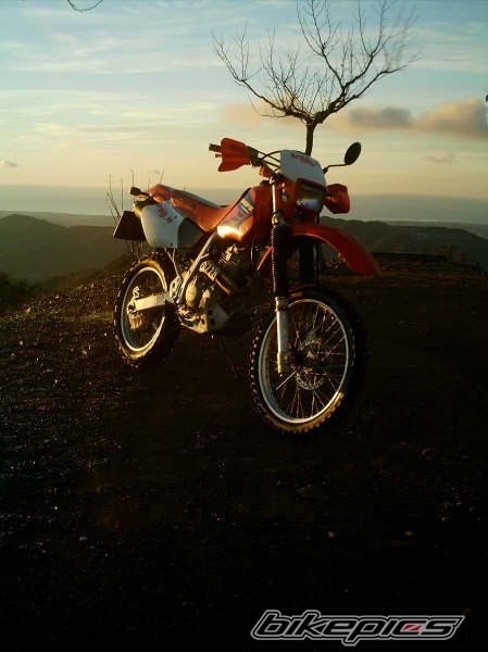 Photo 2680992