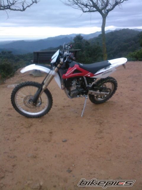Bike Photo 2681022