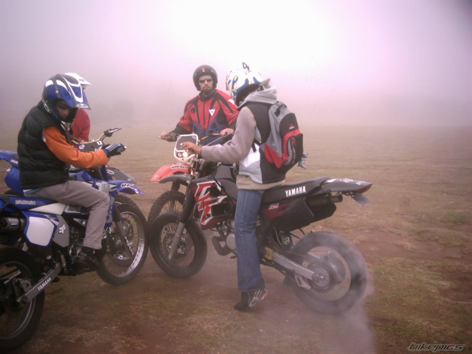 Photo 268103