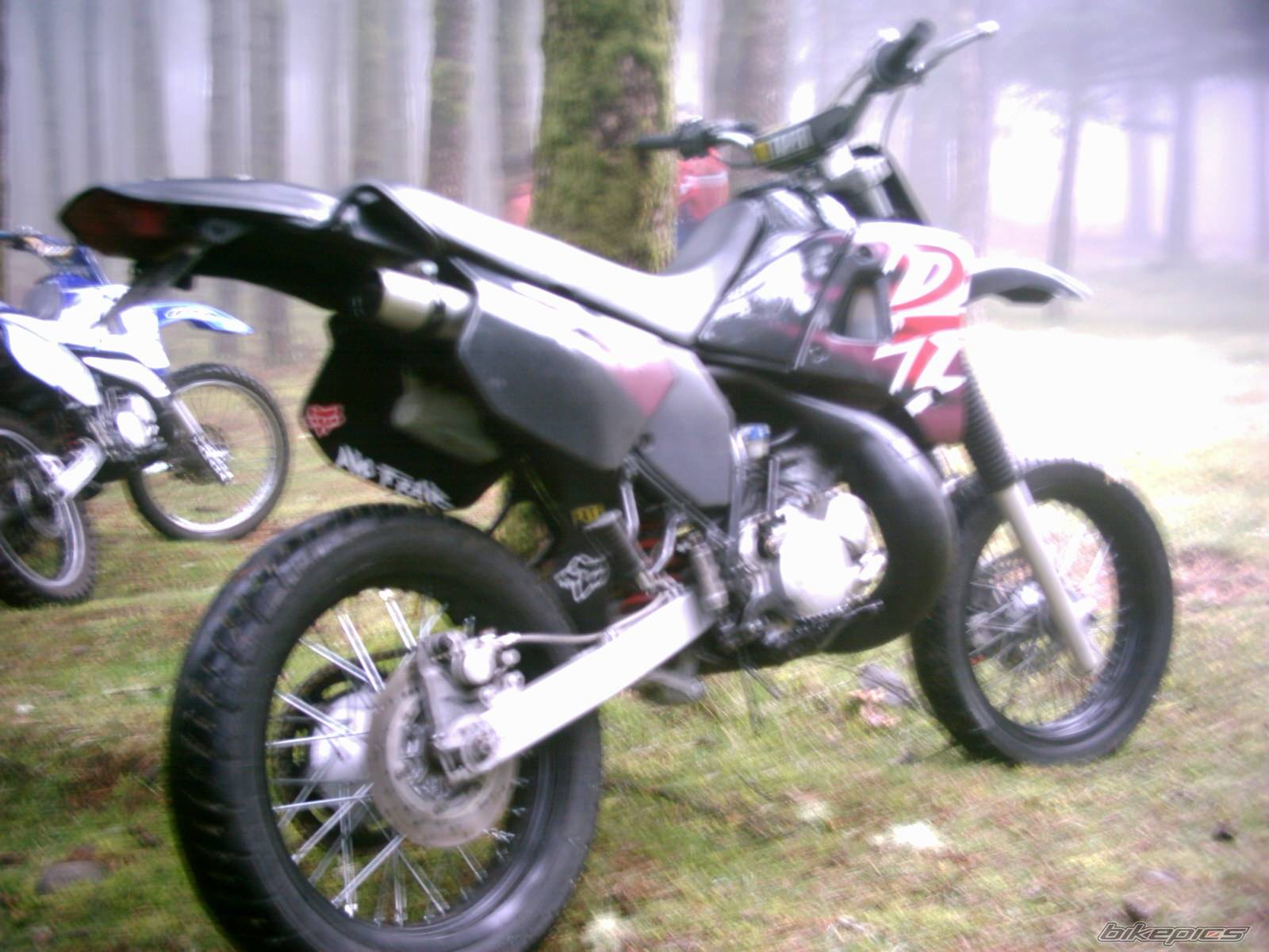 Photo 268104