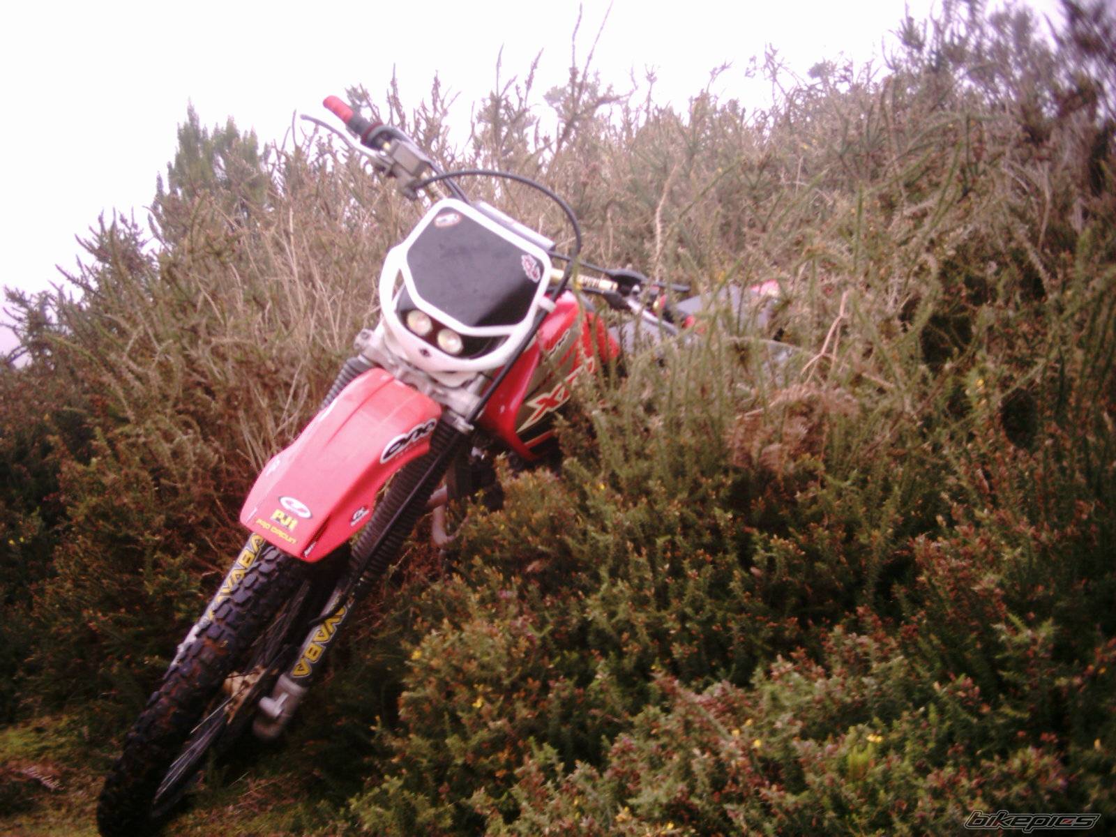 Photo 268106
