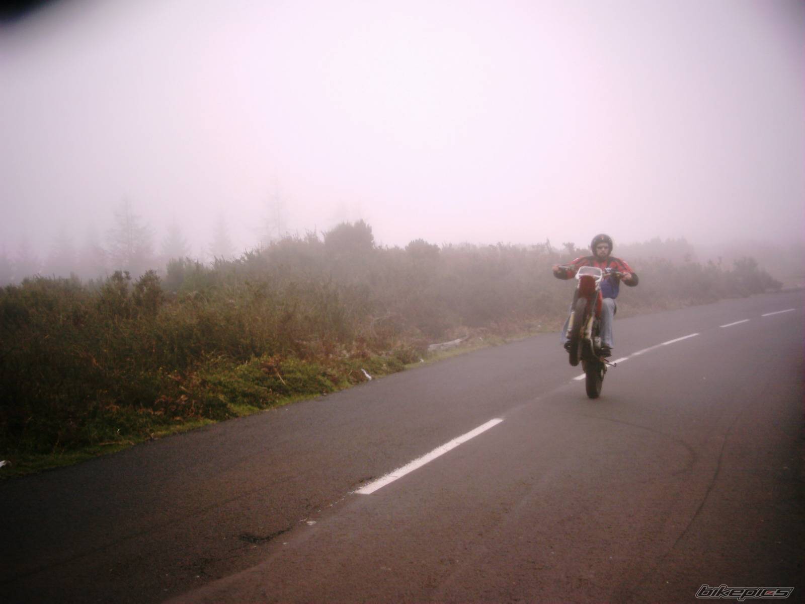 Photo 268107