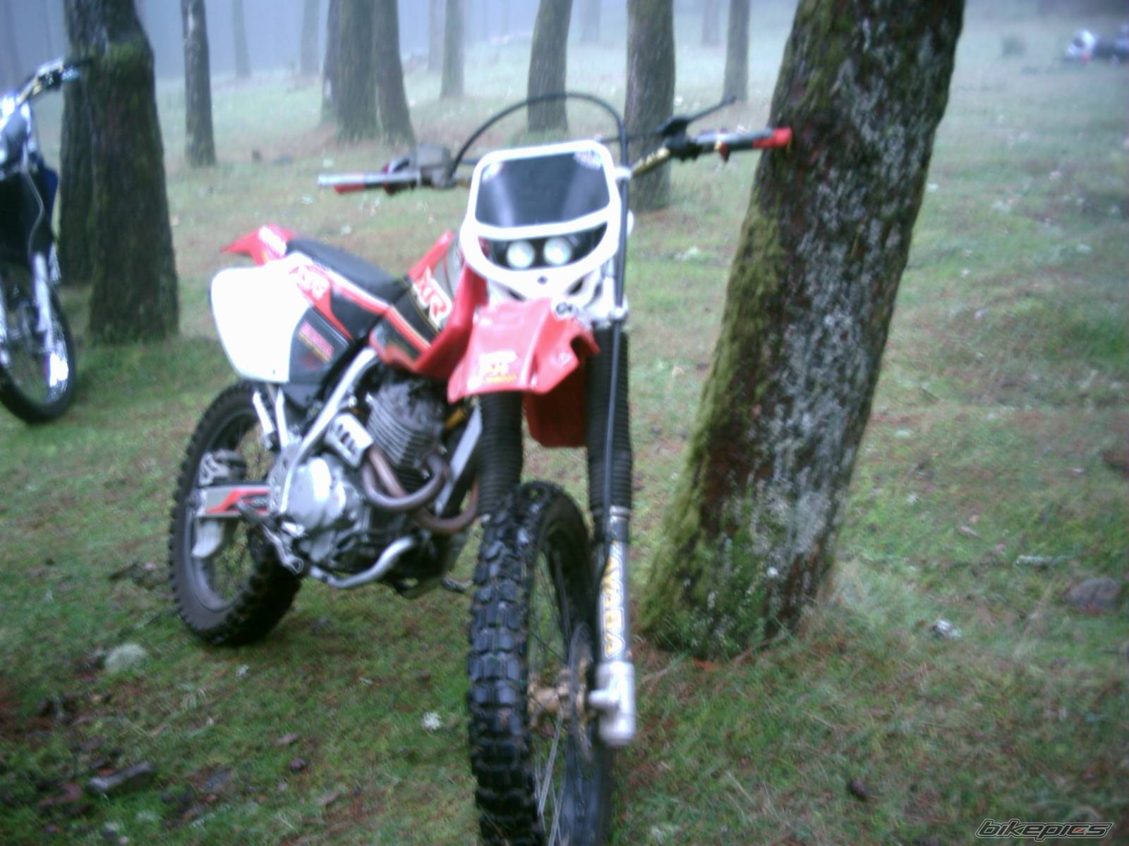 Bike Photo 268109