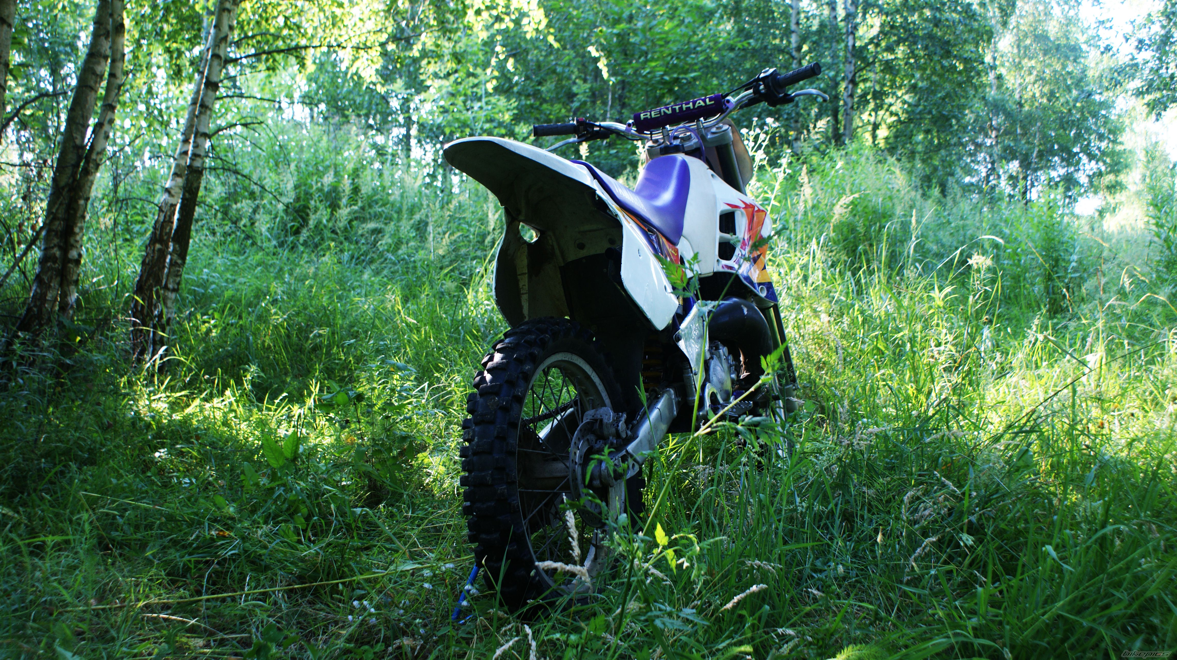 Photo 2681123