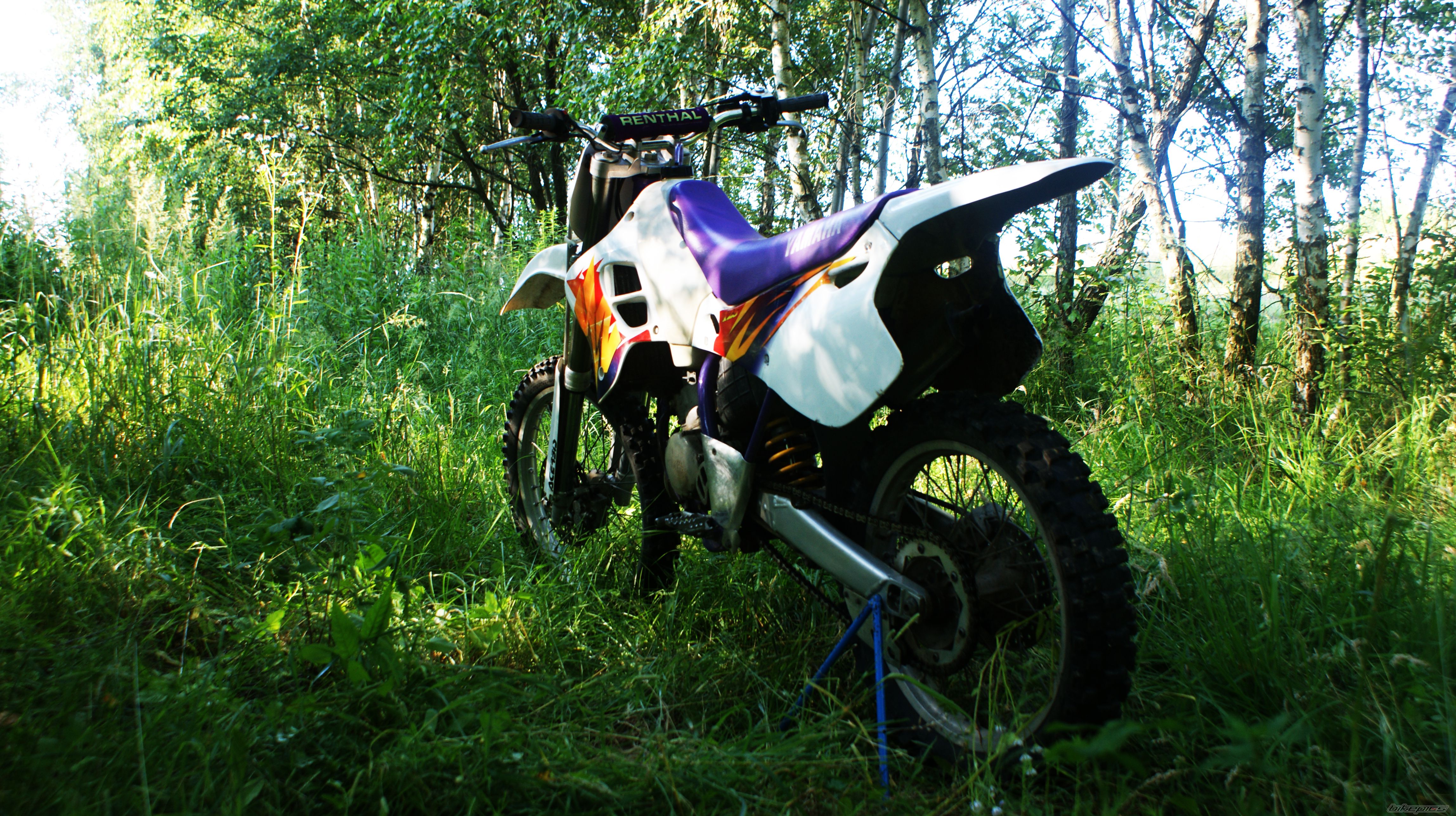 Photo 2681124